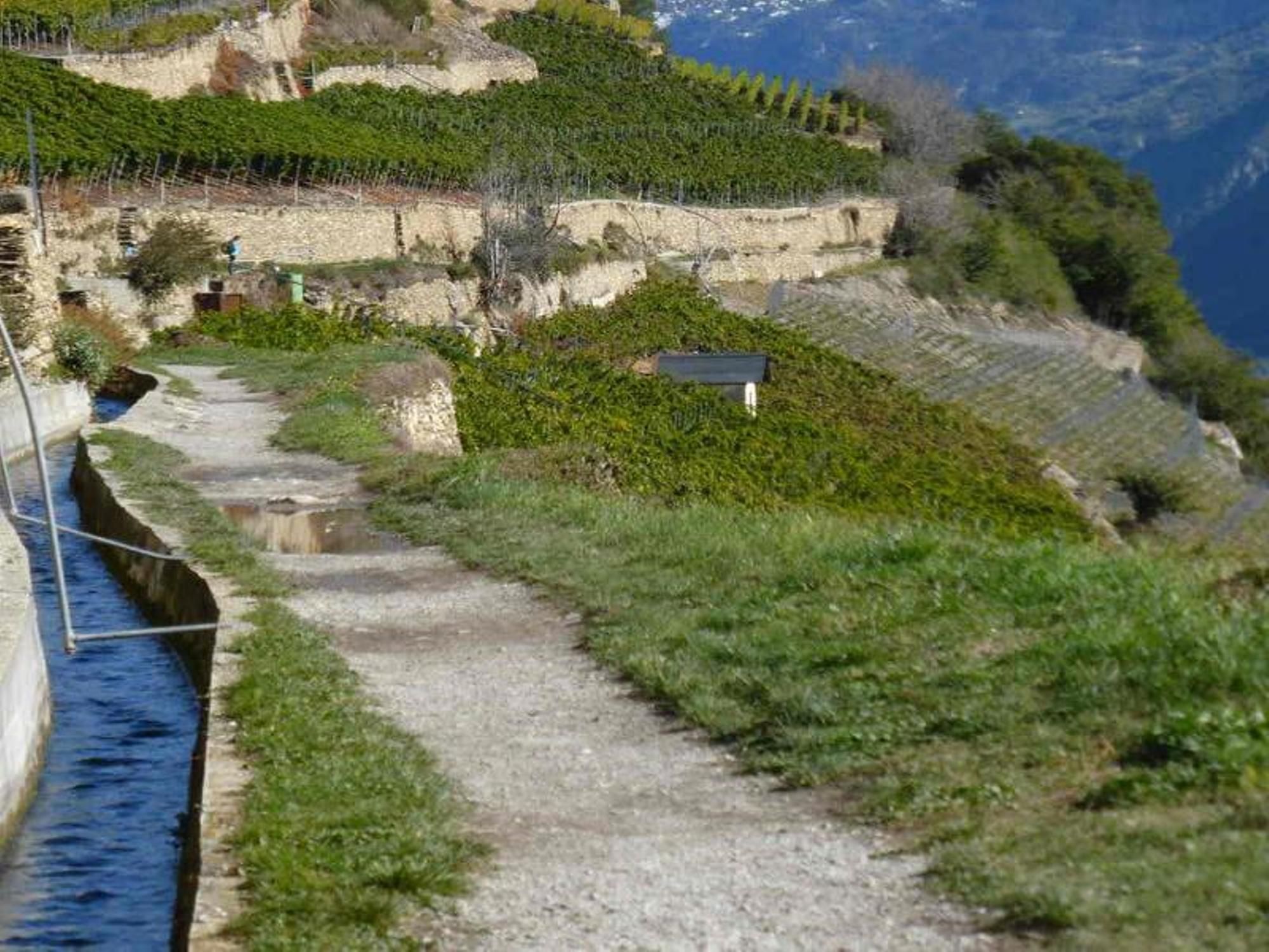 克兰斯马恩坦葡萄园3