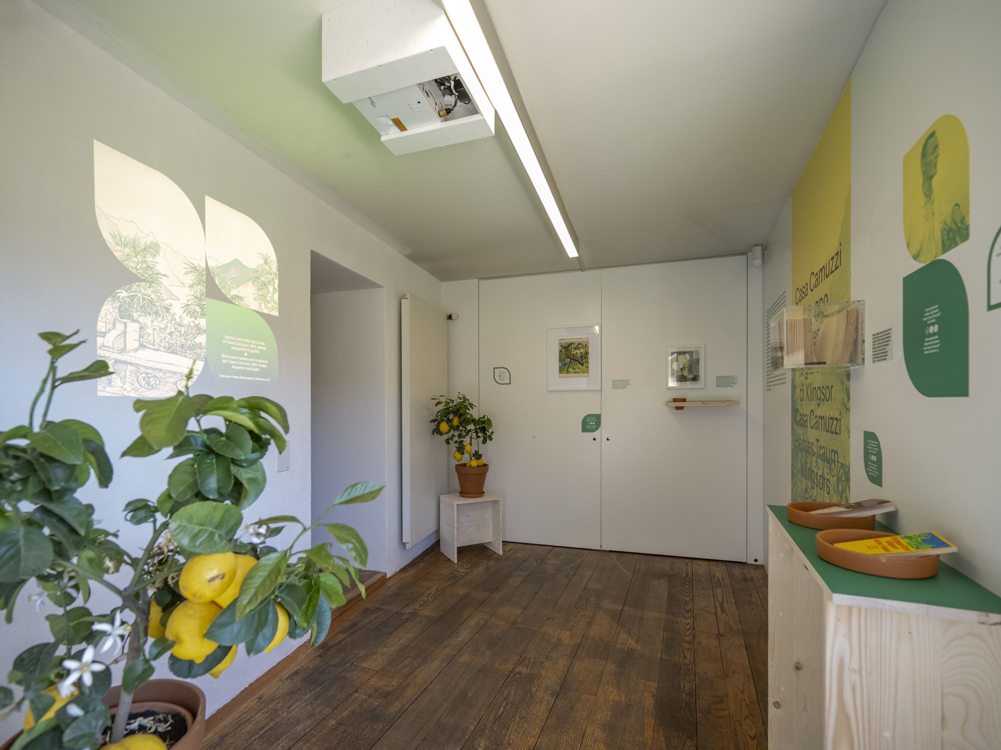 Musée Hermann Hesse, exposition Dans les jardins de Hesse. 2© Musée Hermann Hesse Montagnola