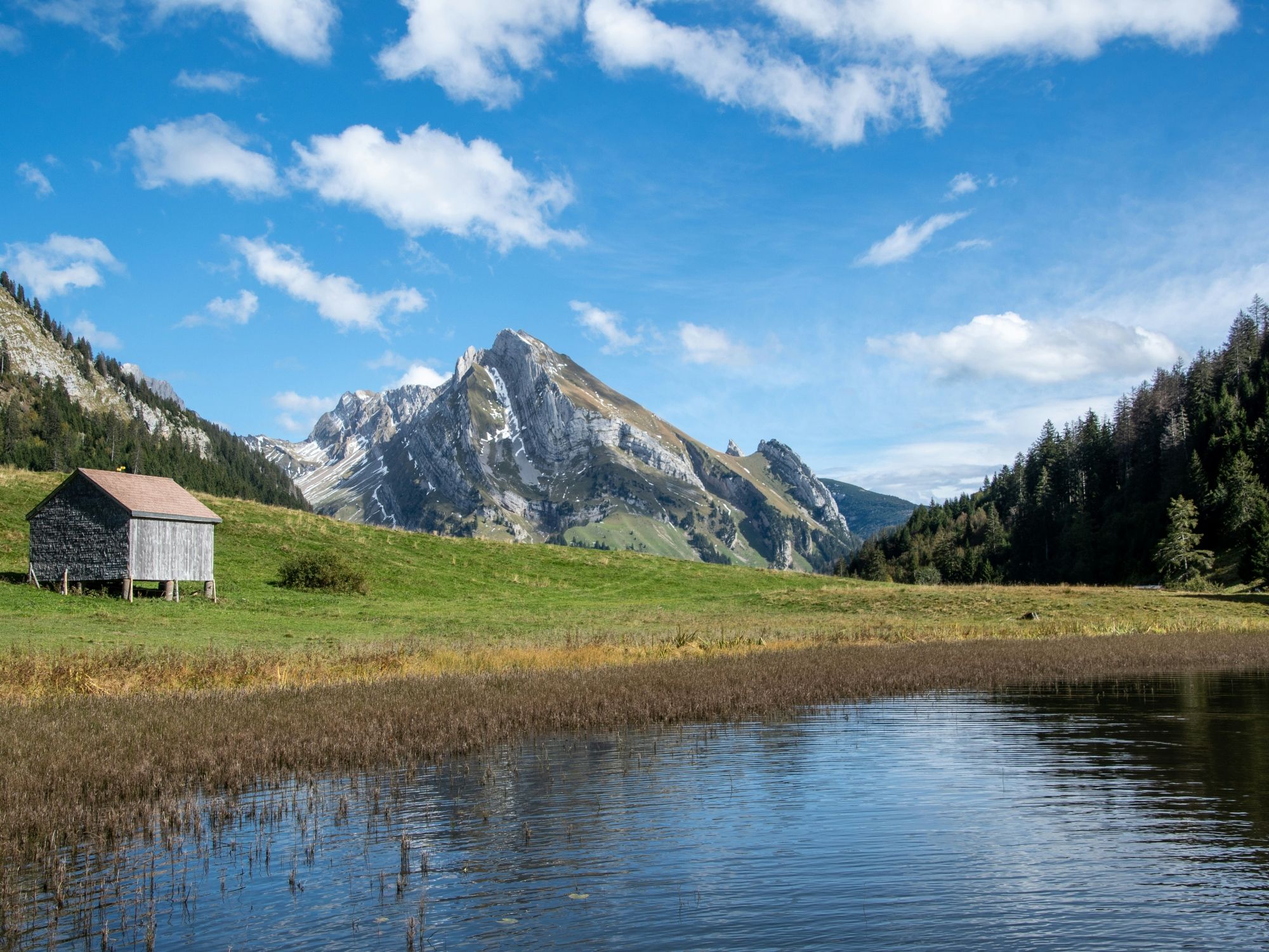 02 ivan-louis-R8n-NIiUmdM-unsplash