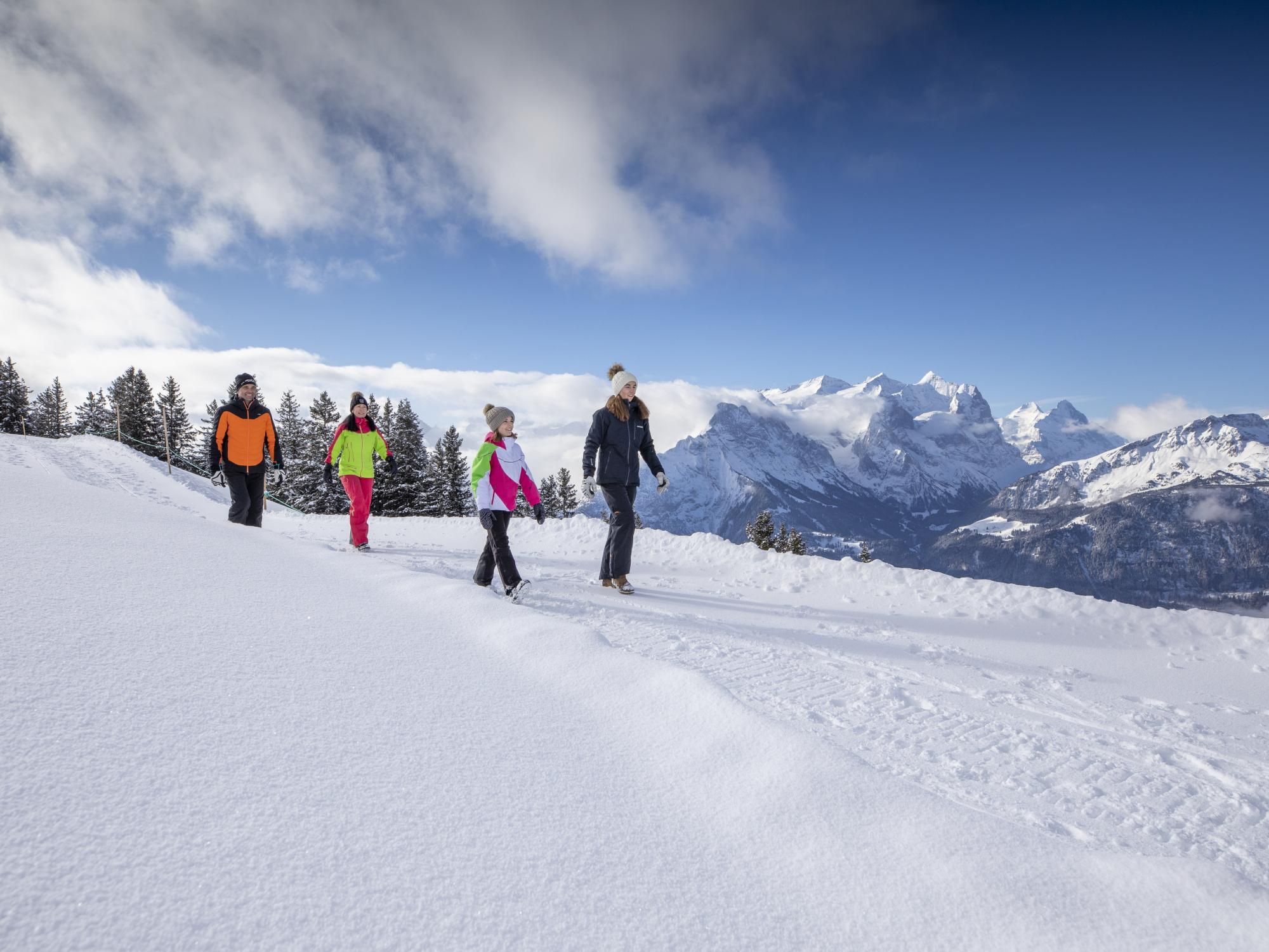 Tageskarte Winterwandern Meiringen Hasliberg