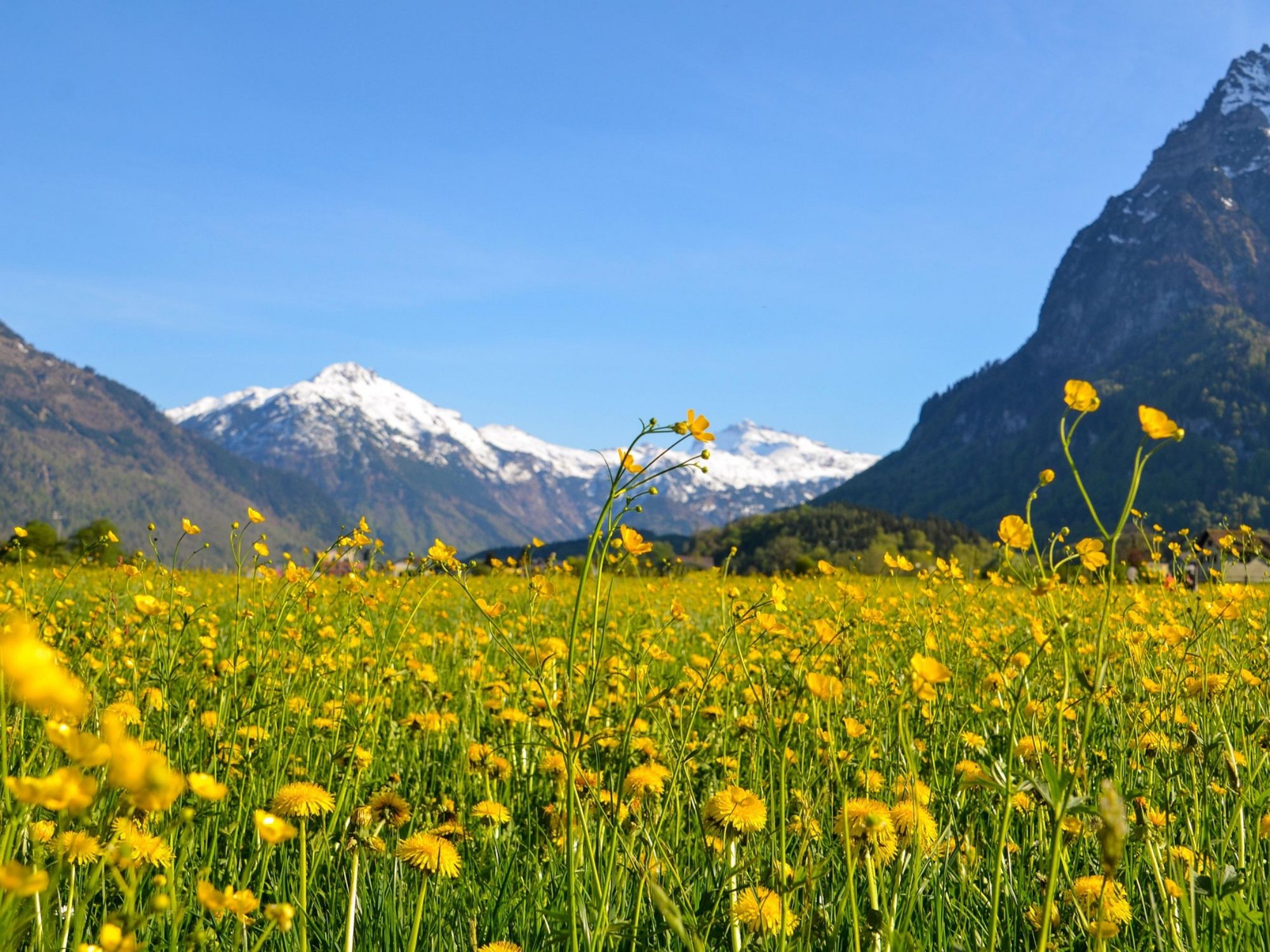 pranvera-Glarus pixabay