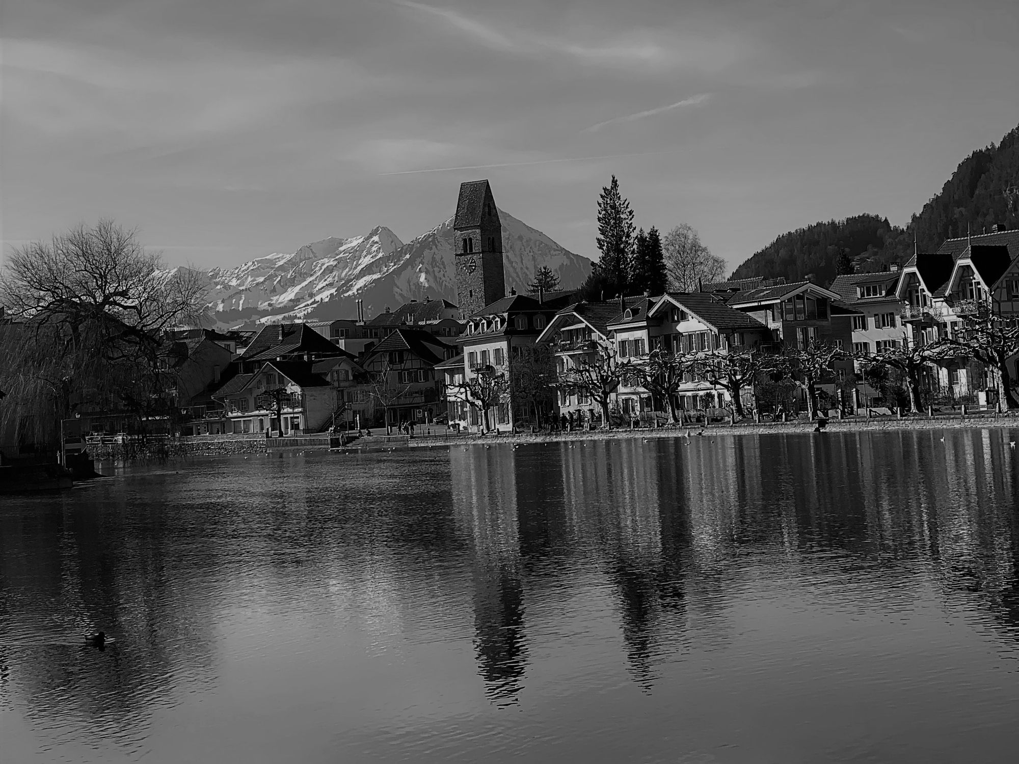 صورة المنتج إنترلاكن-هاكد