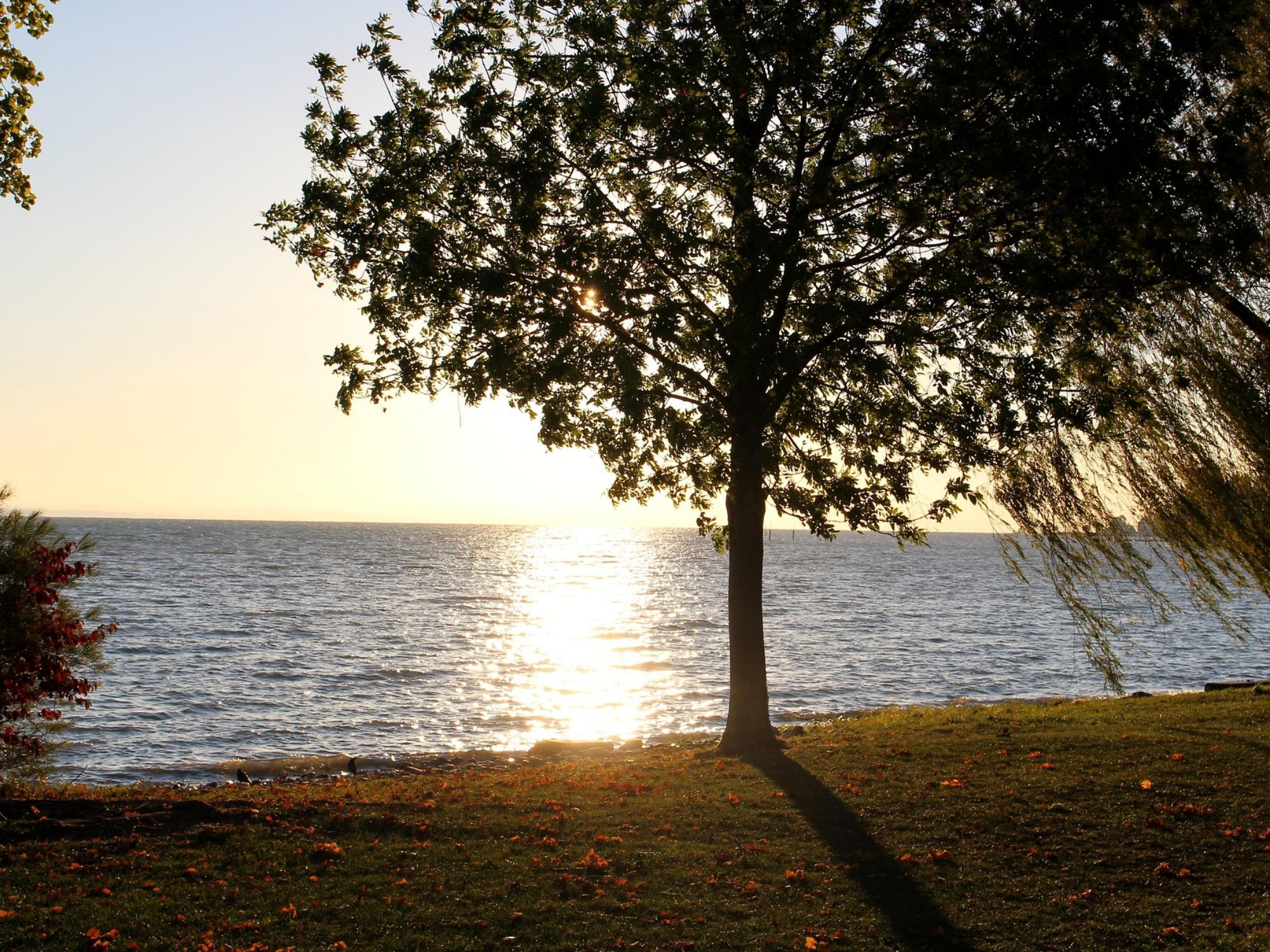 02 manhã-estado-de espírito-Kreuzlingen Pixabay