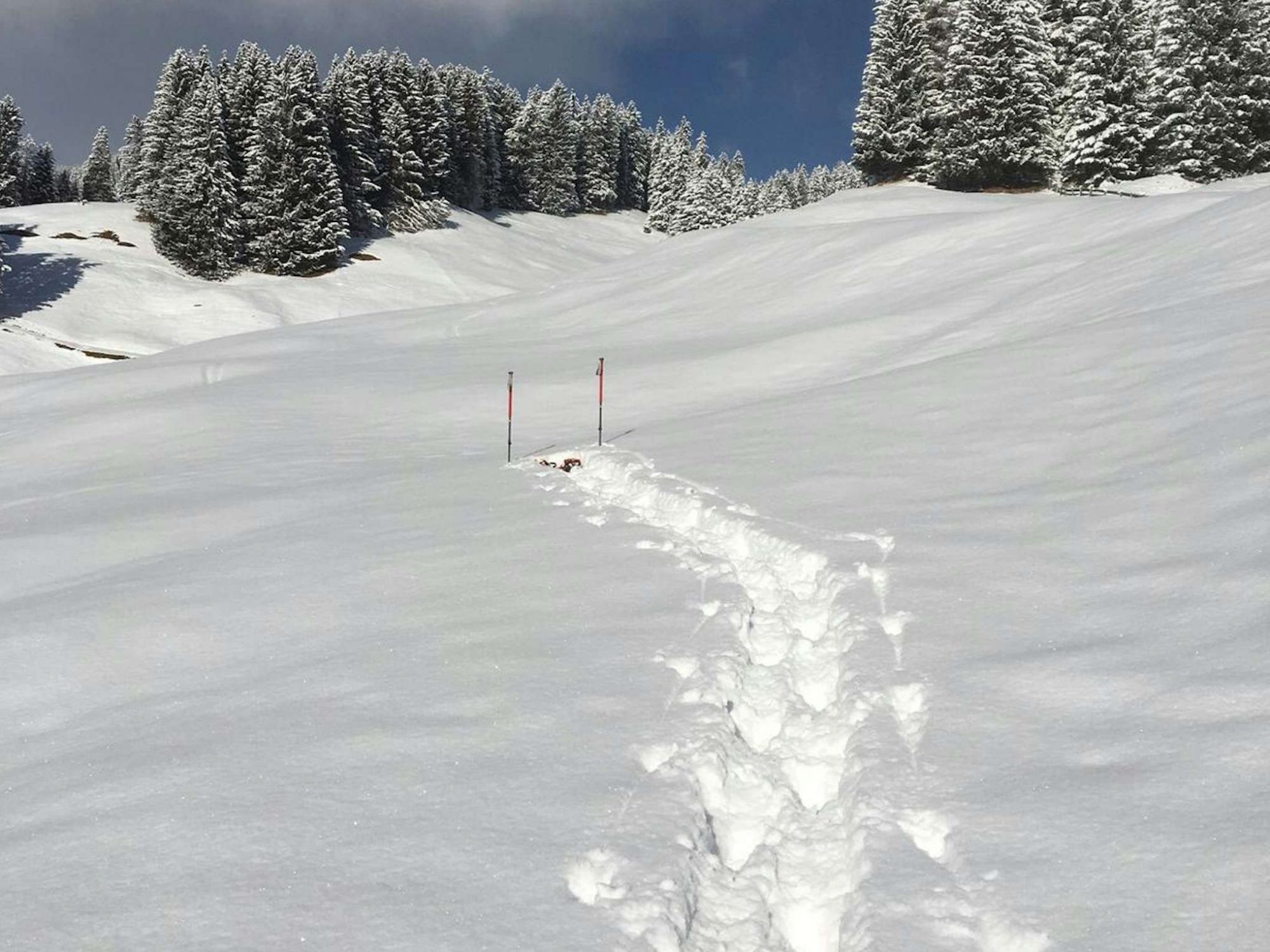 sneeuwschoenwandelen-5-1