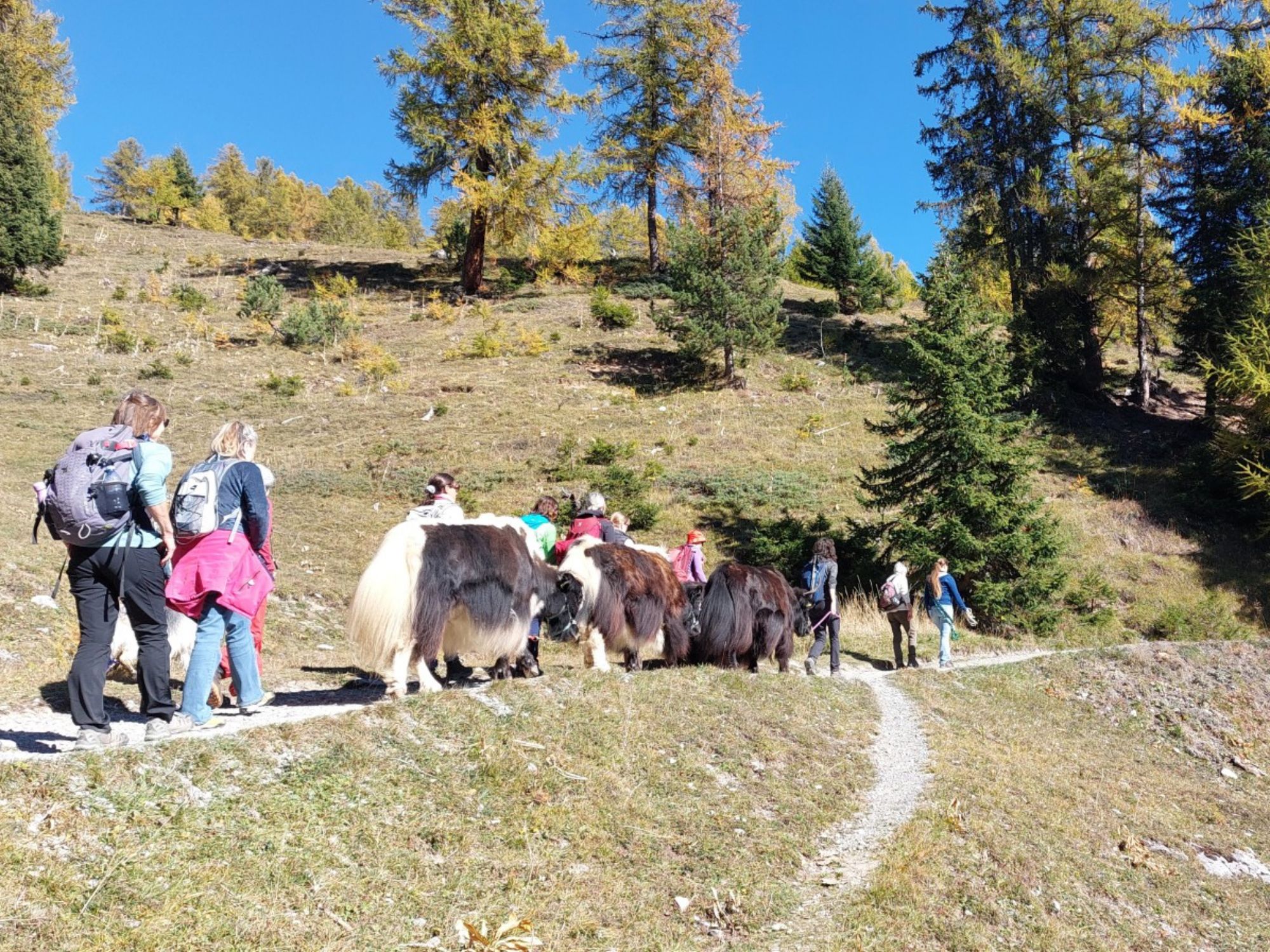 batch_20251018_135827