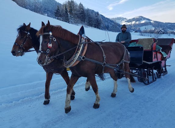 Horse-Drawn Carriage Ride with Fondue Fun in Toggenburg