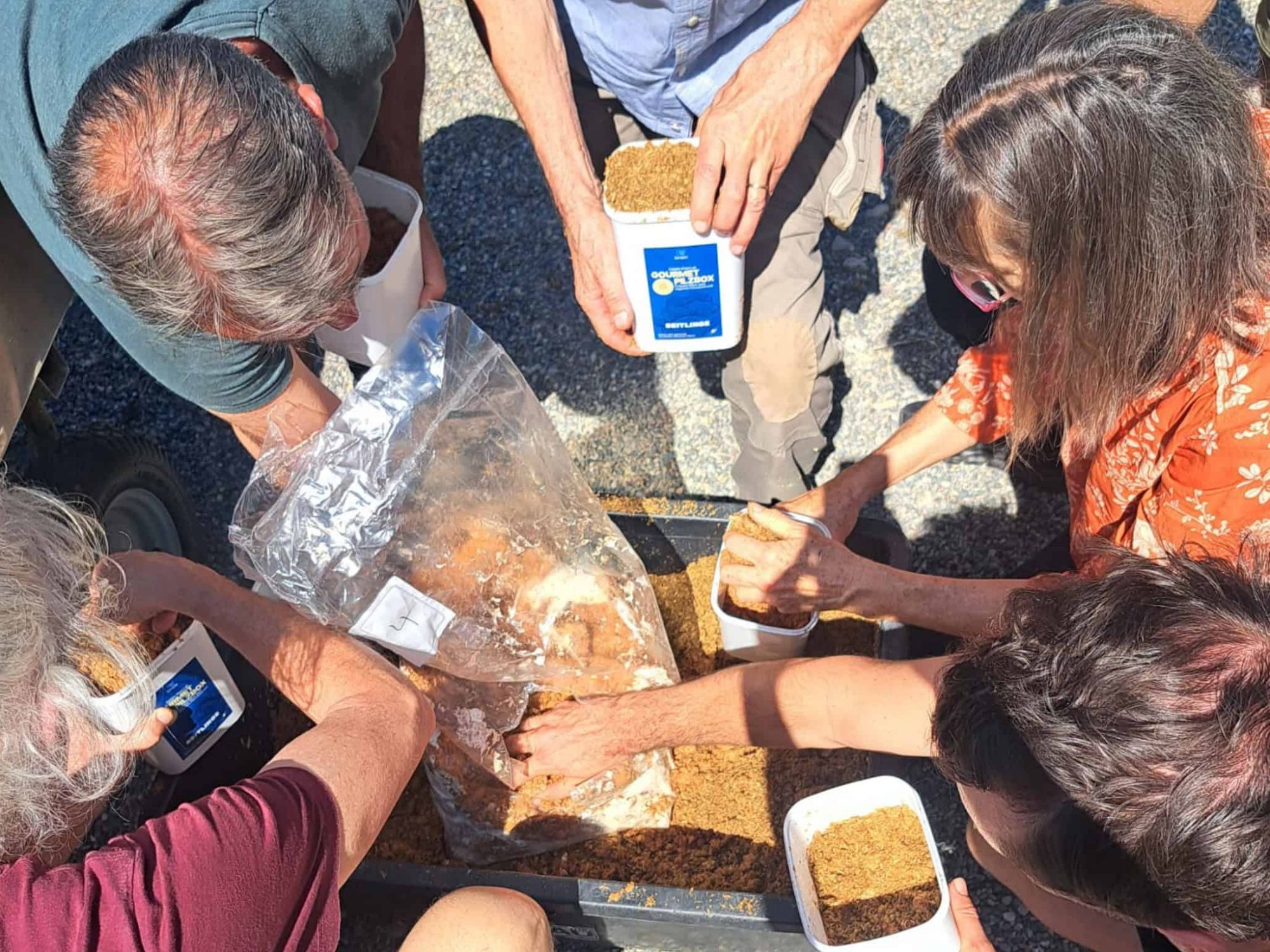 WhatsApp-image-2025-05-02-a-10-07-36-3c5345b3