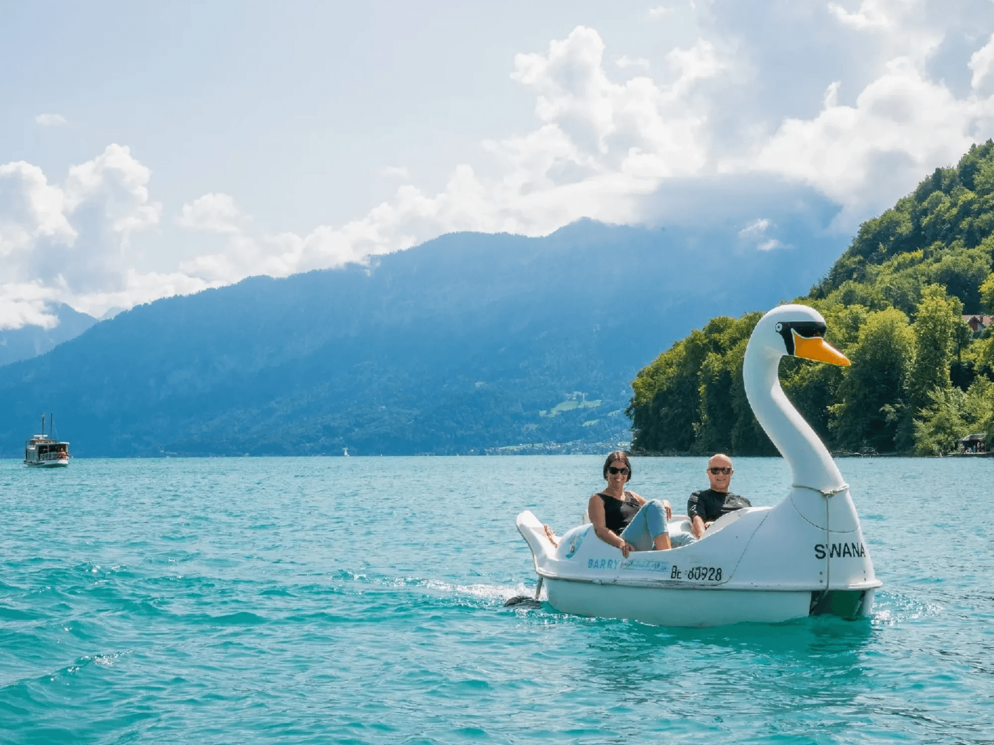 Schwanen Pedalo auf dem See