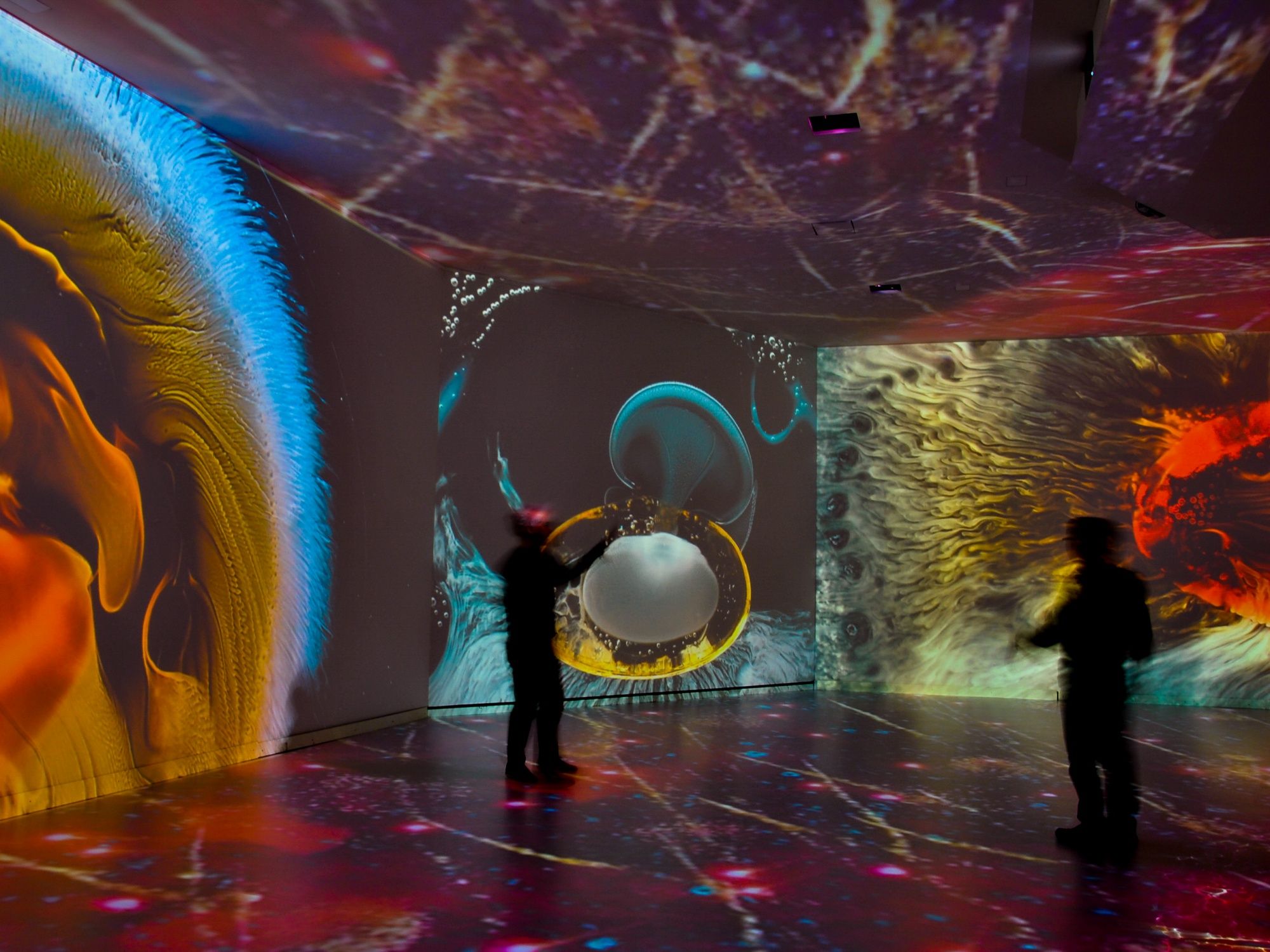 In der immersiven Art Hall