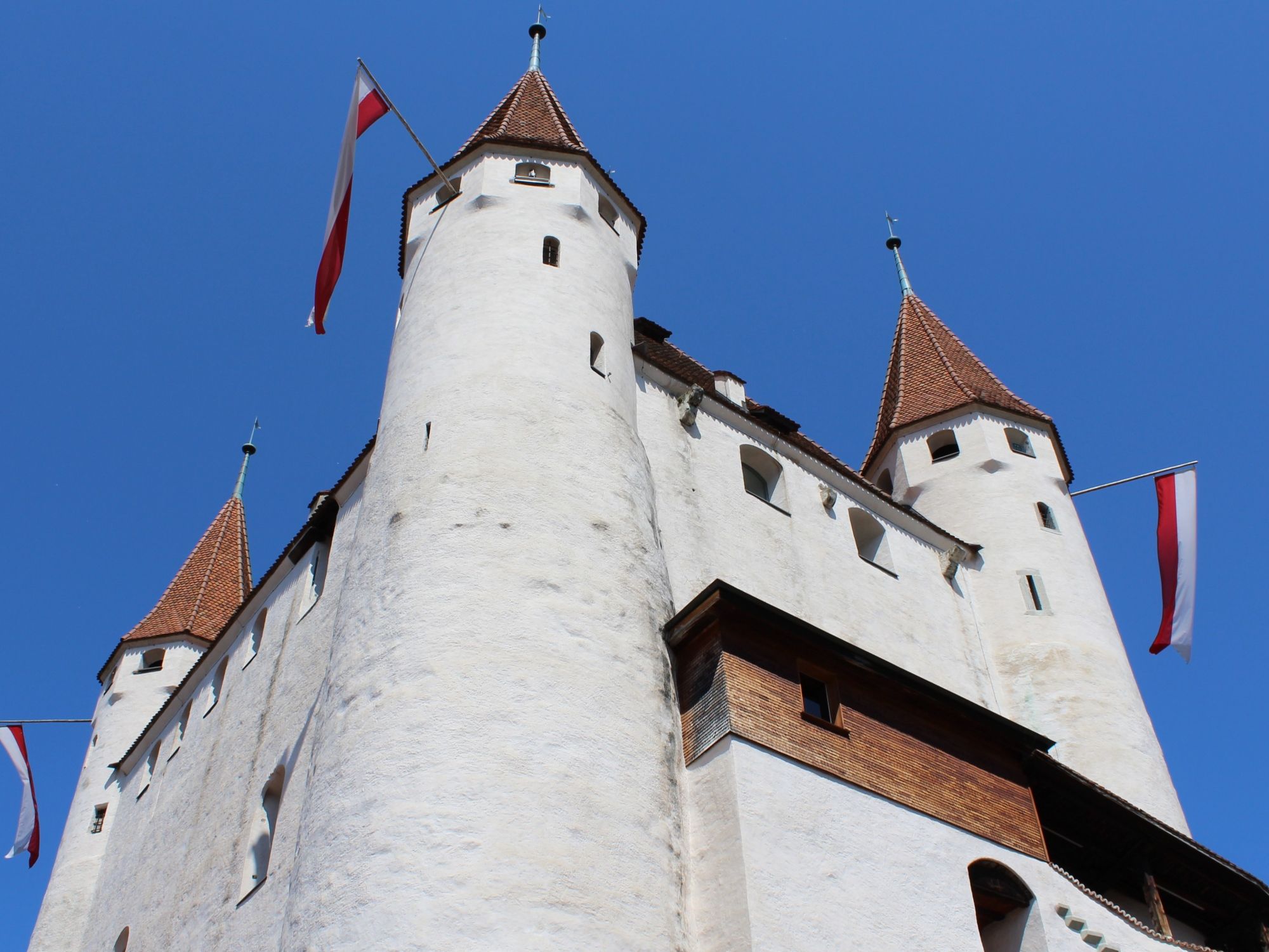 "Visita guiada ao depósito da coleção" Visita Schloss Thun para grupos
