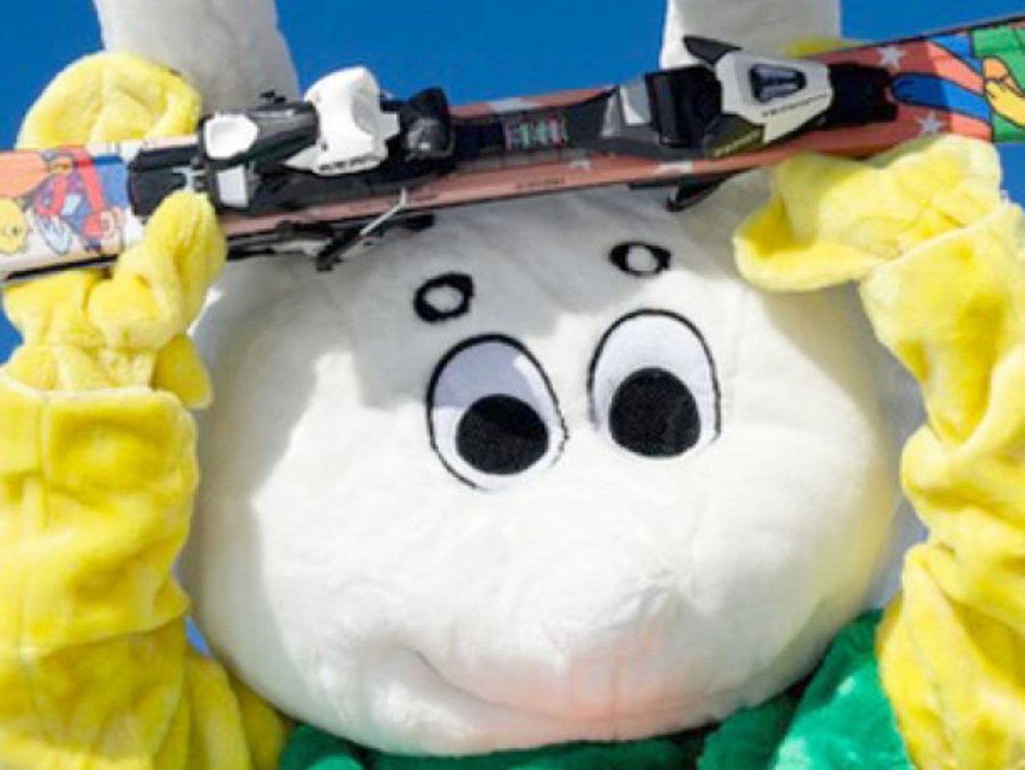 ess-veysonnaz-2-giardino-family-scuoladisci