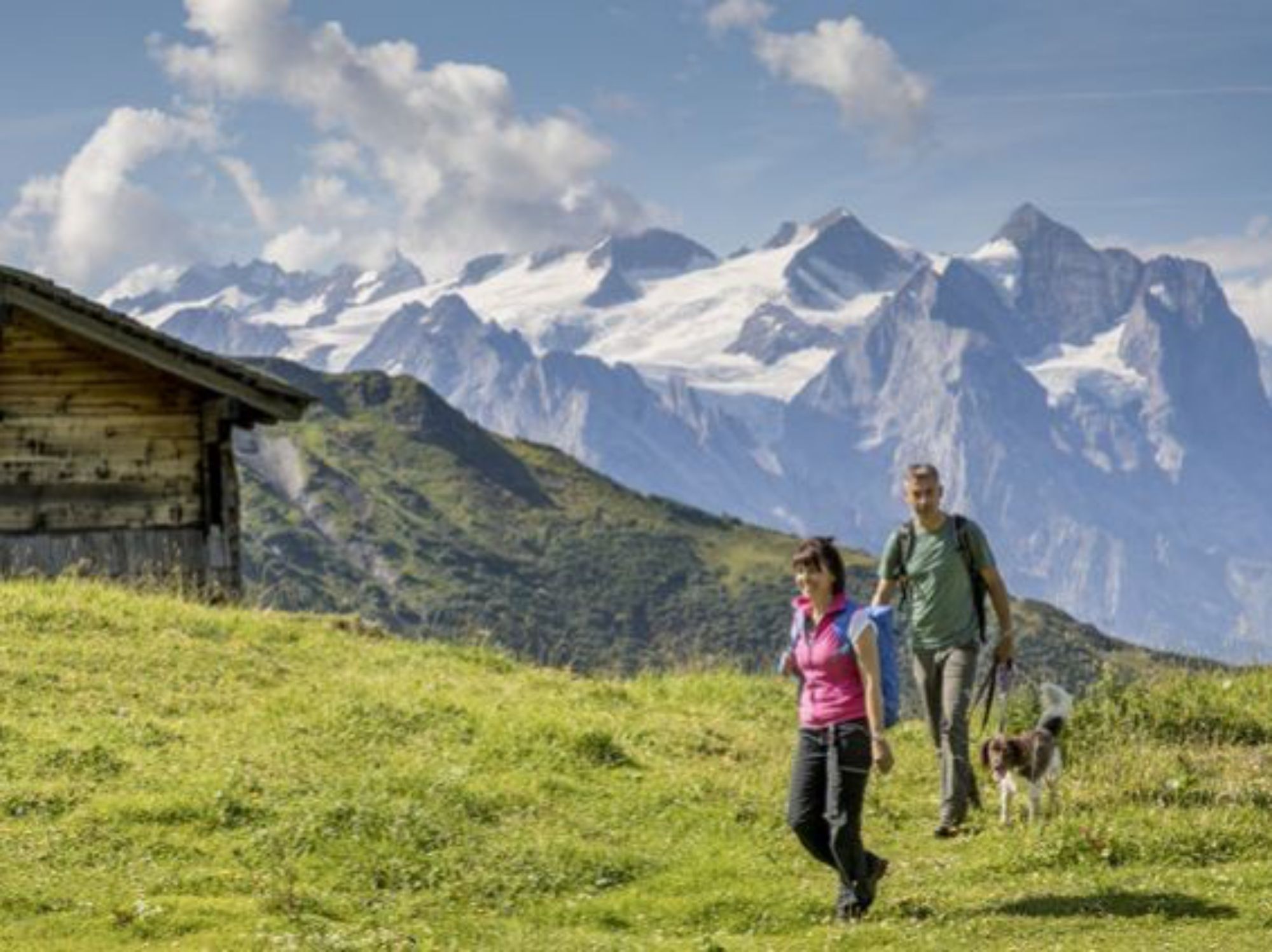 plimbări cu câinele_1