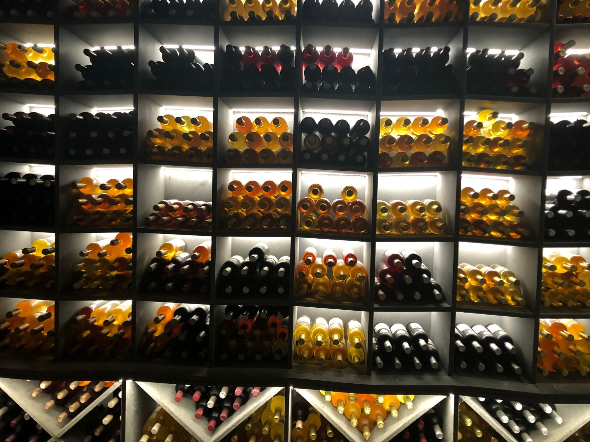 Genève E-Bike Tour guidad: Vinprovning vid Genèvesjön