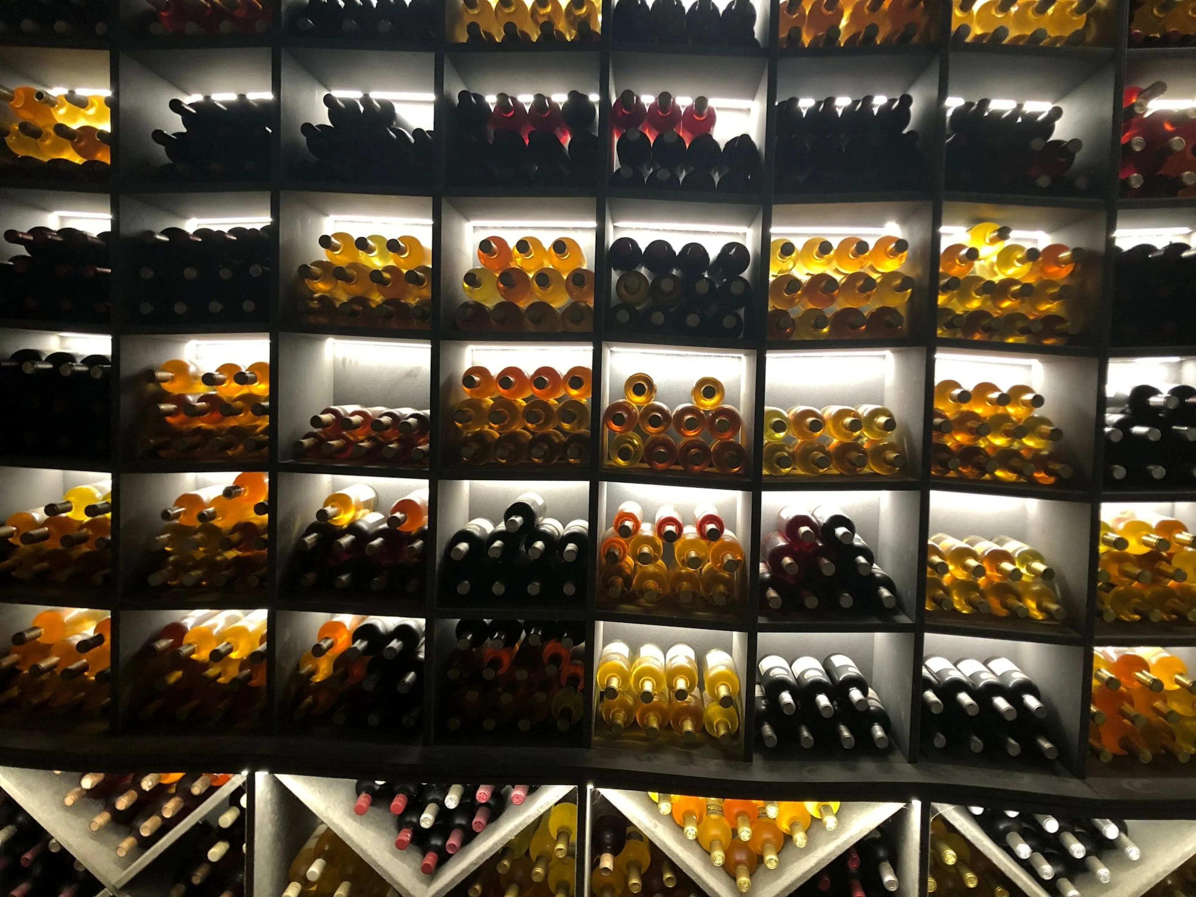 Genf E-Bike Tour geführt: Weintour am Genfersee