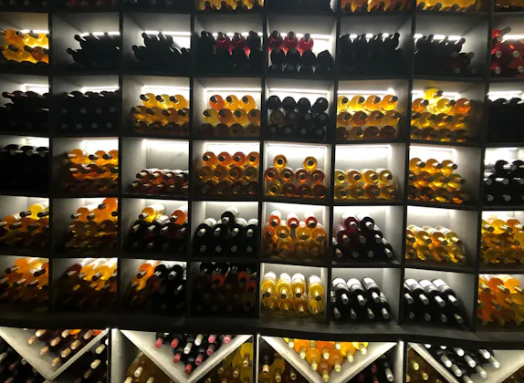 Экскурсия на электрическом велосипеде по Женеве: винная экскурсия на Женевском озере