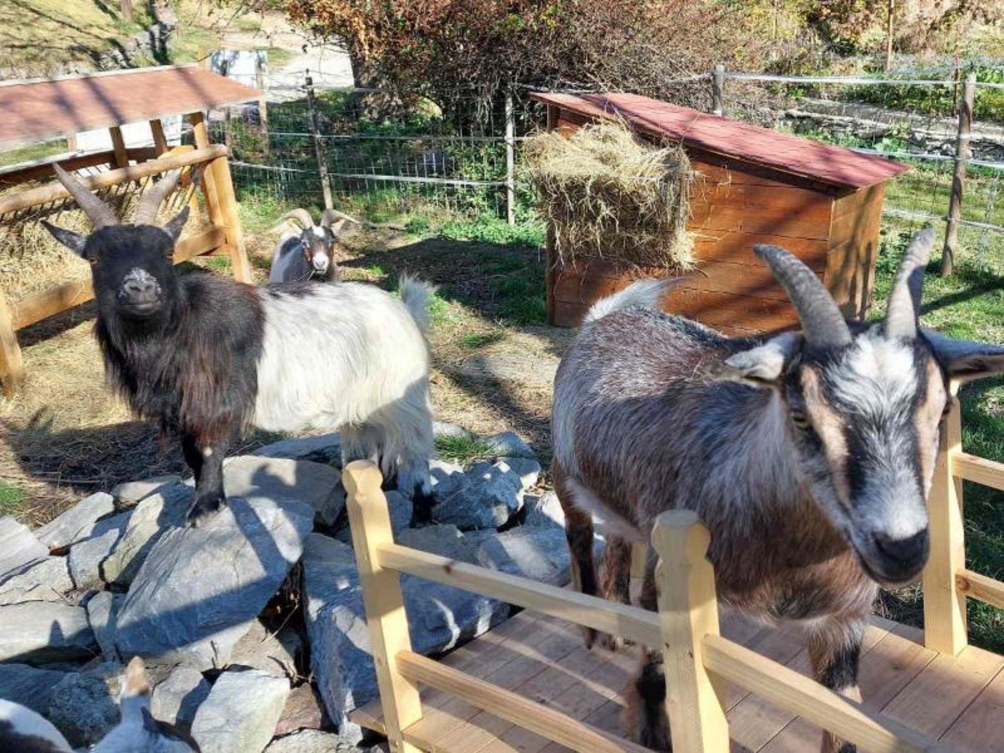 tds00020015424100068_stoerrelse_800_0