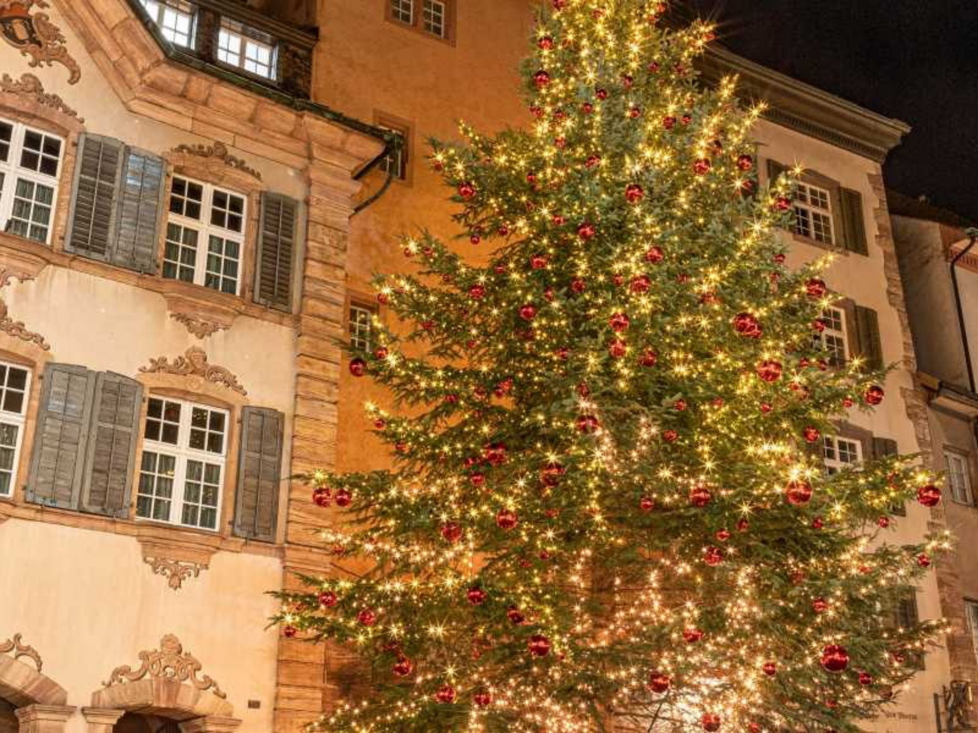 08 Weihnachtstour Rheinfelden Tourismus
