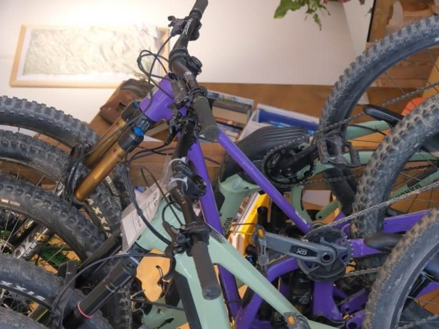 e-bike-hire-1