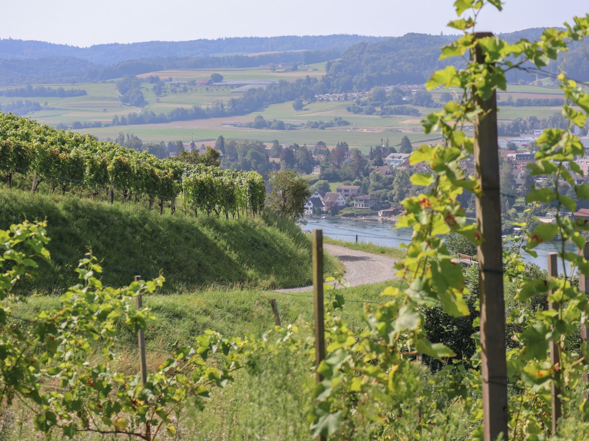 Weinwanderung