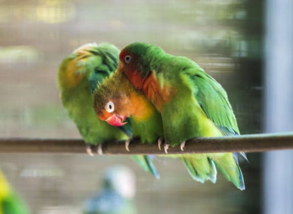 imagem-principal-651685252fca3637892632-recortada600-400