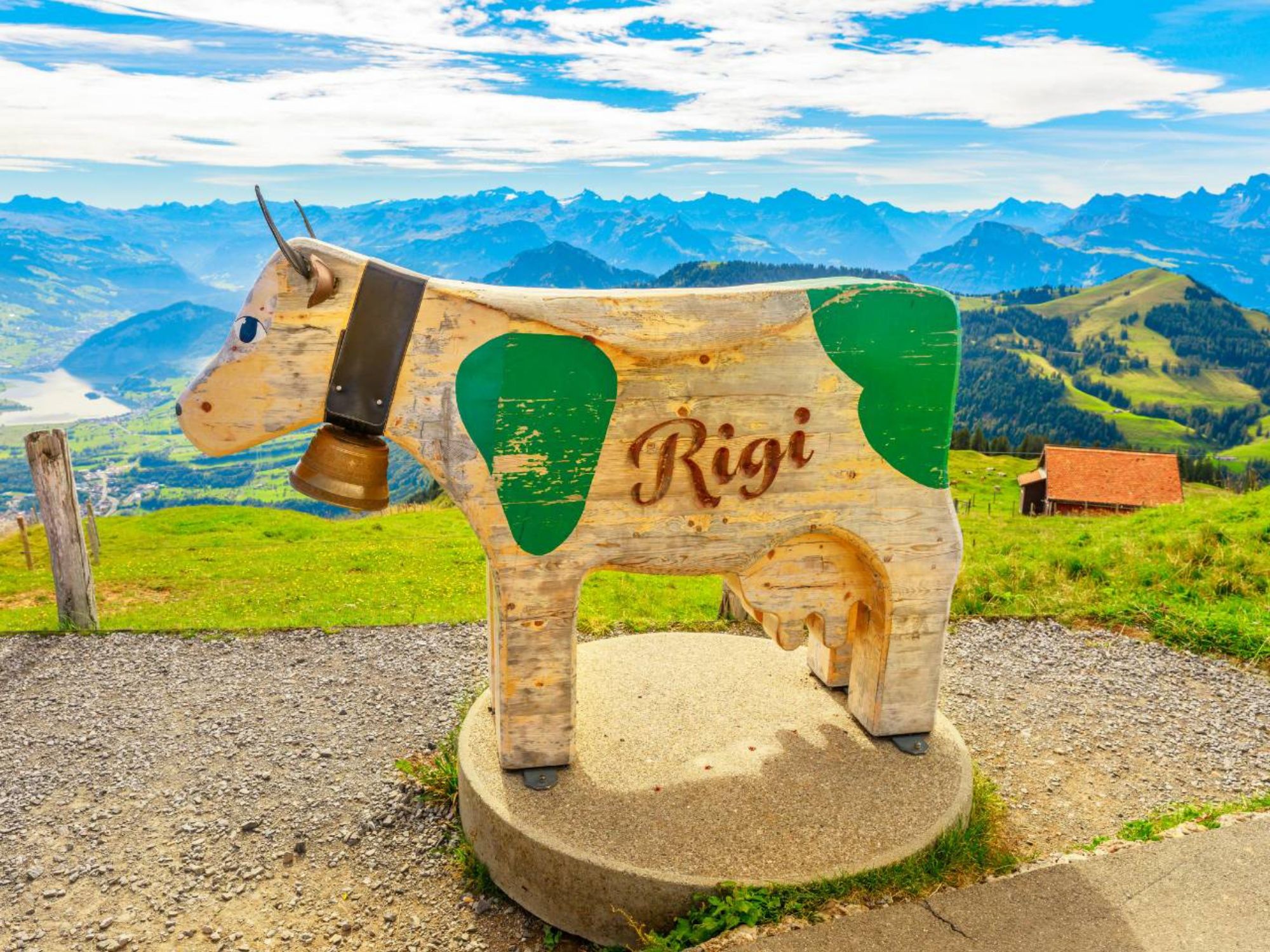 Rigi dhe Luzern Magic Tours zvicerane (8)