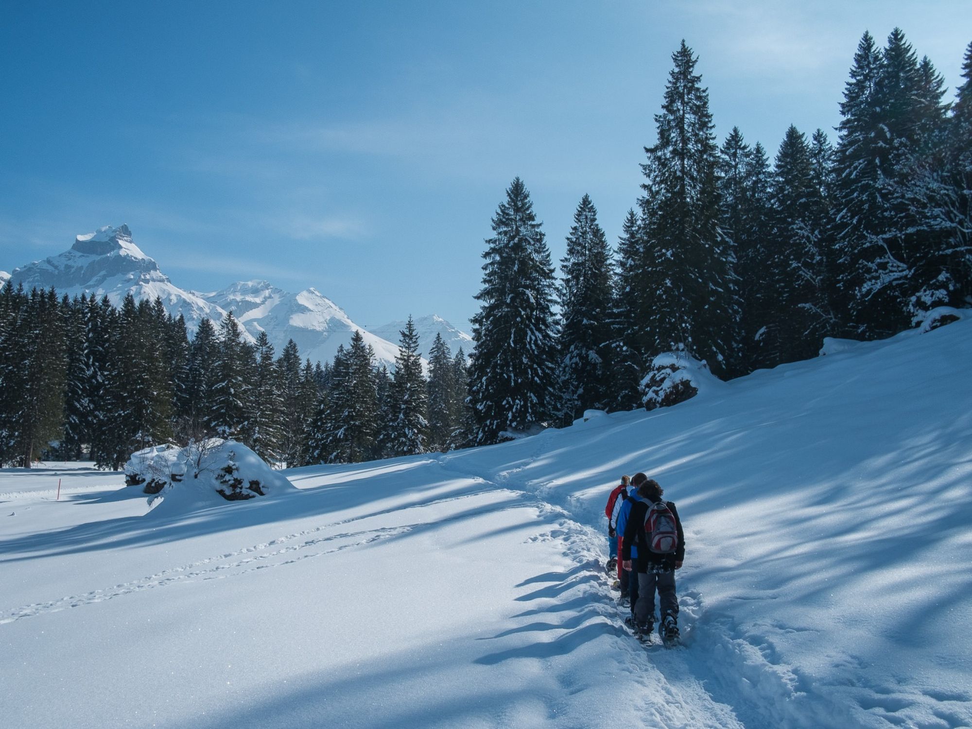 Schneeschuhwandern