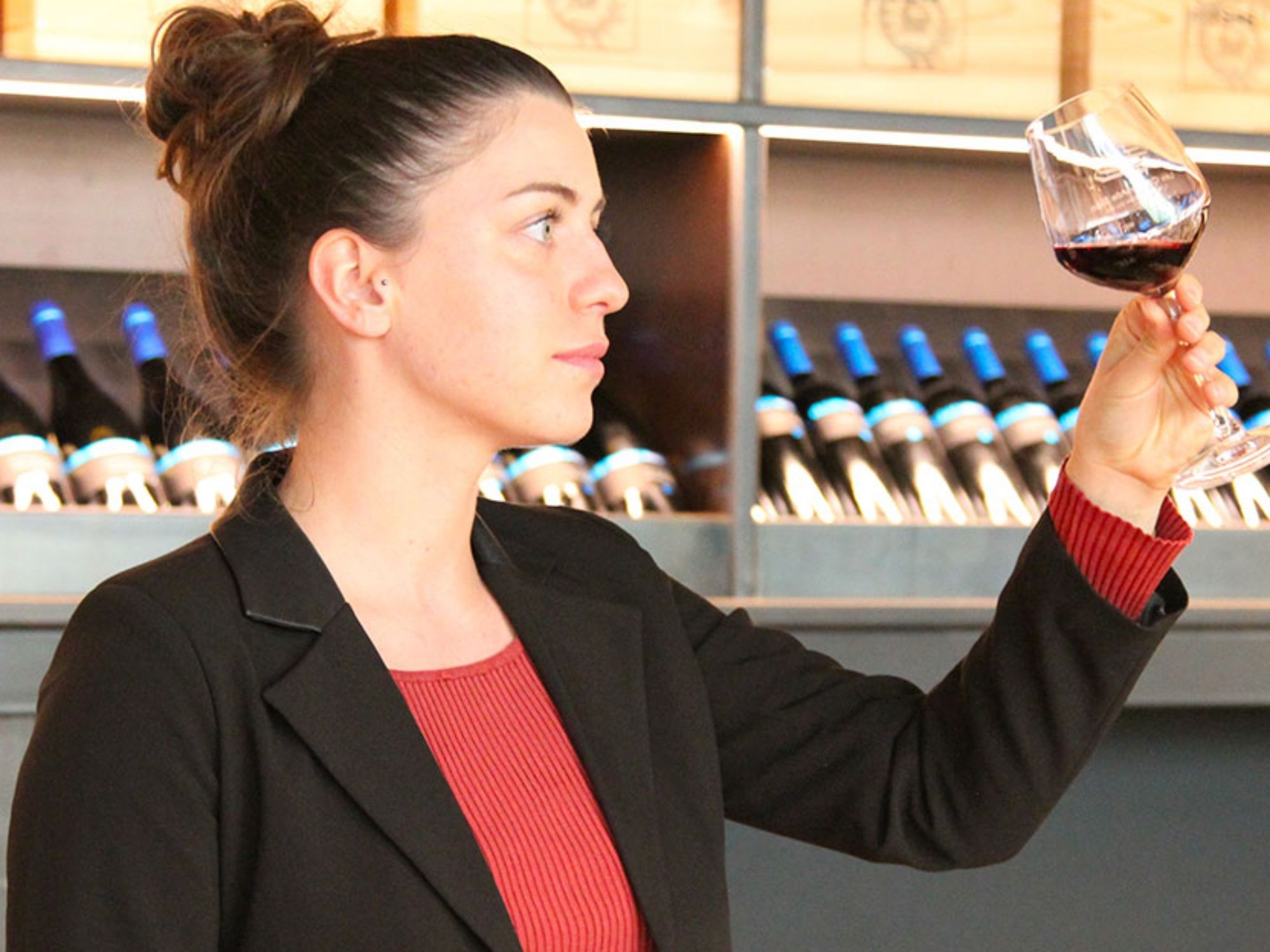 langkah-pertama-dalam-dunia-anggur