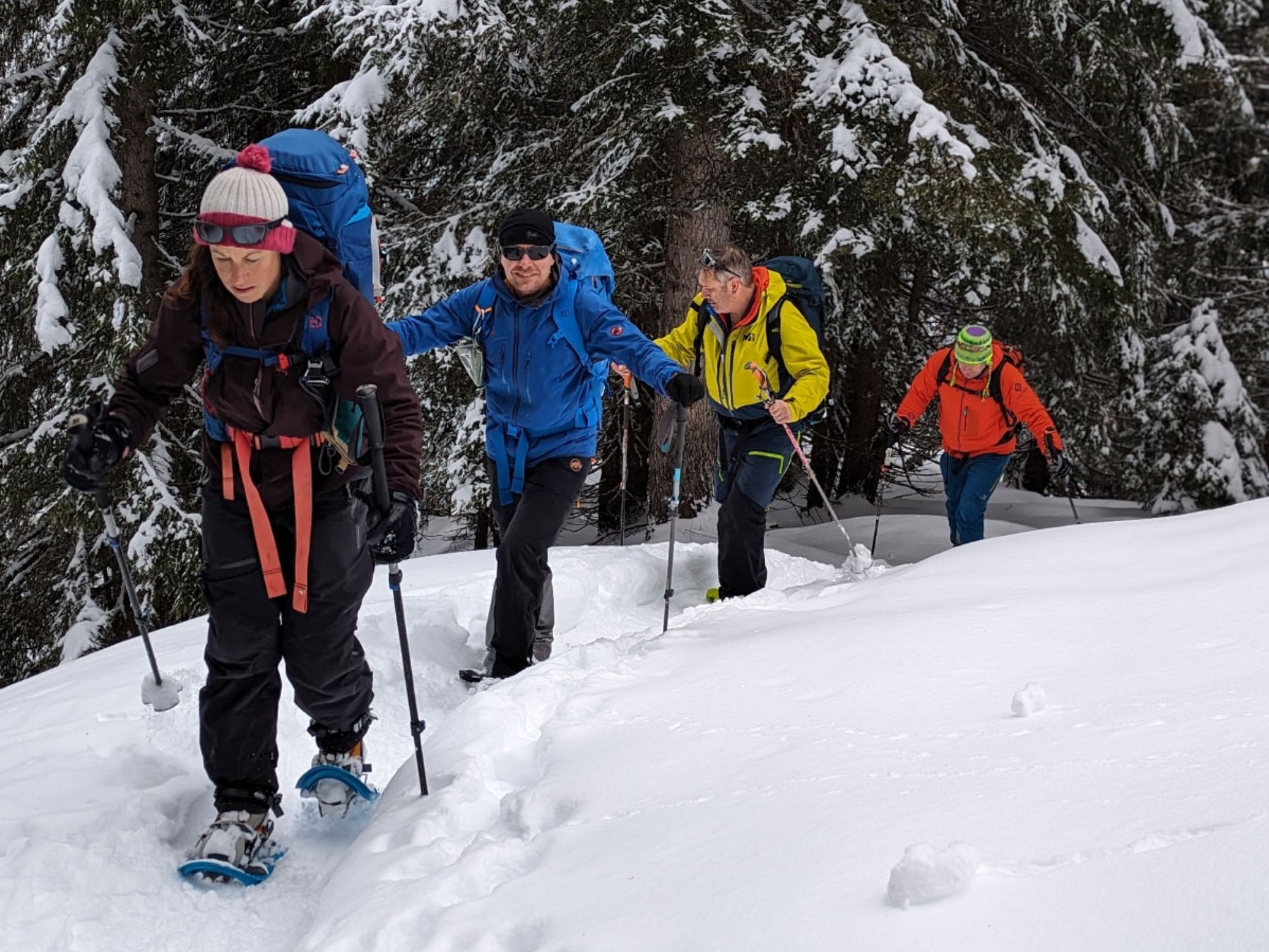 Champéry Kar Ayakkabısı Turu Grubu
