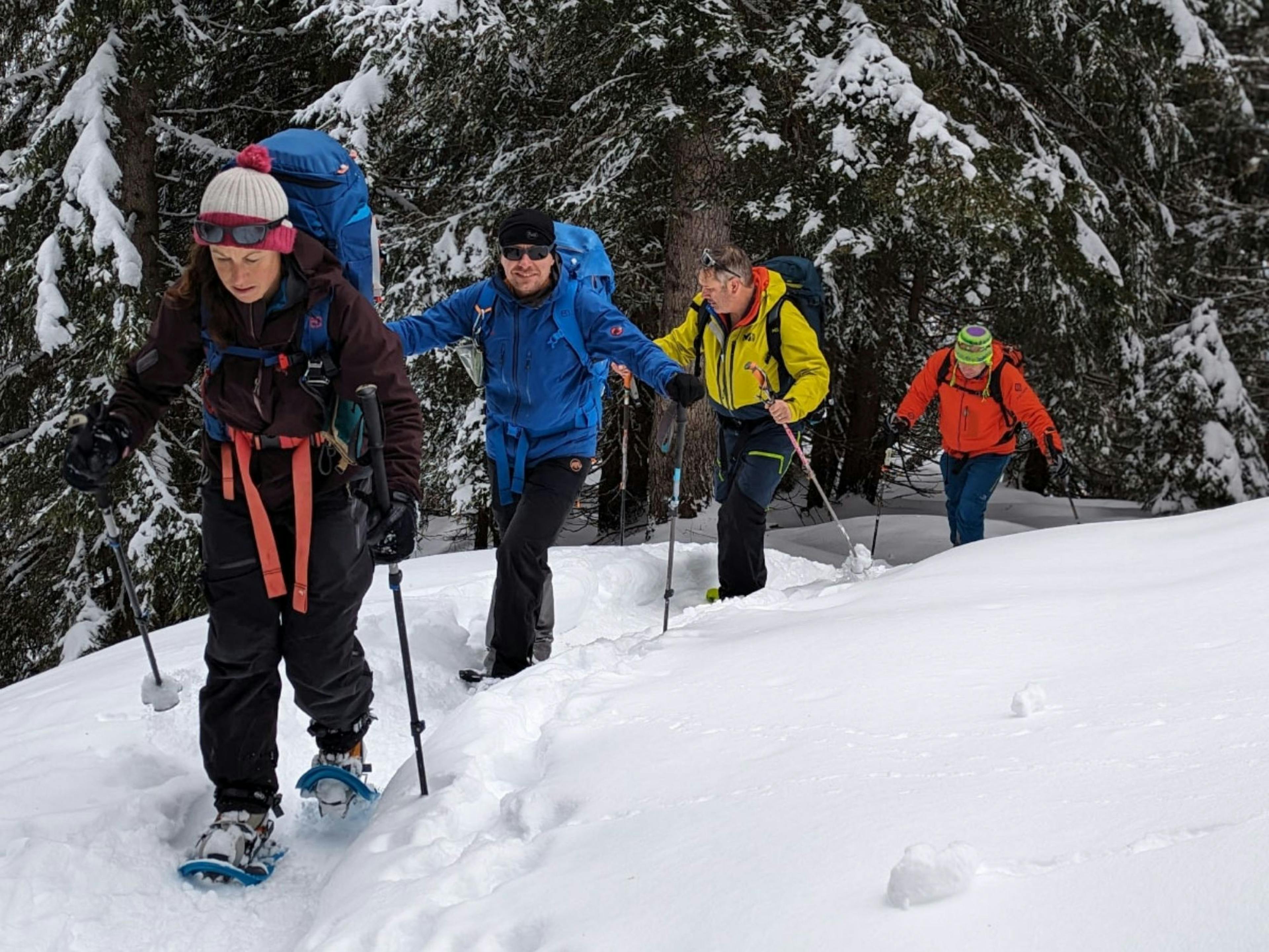 Schneeschuh Tour Gruppe Champéry