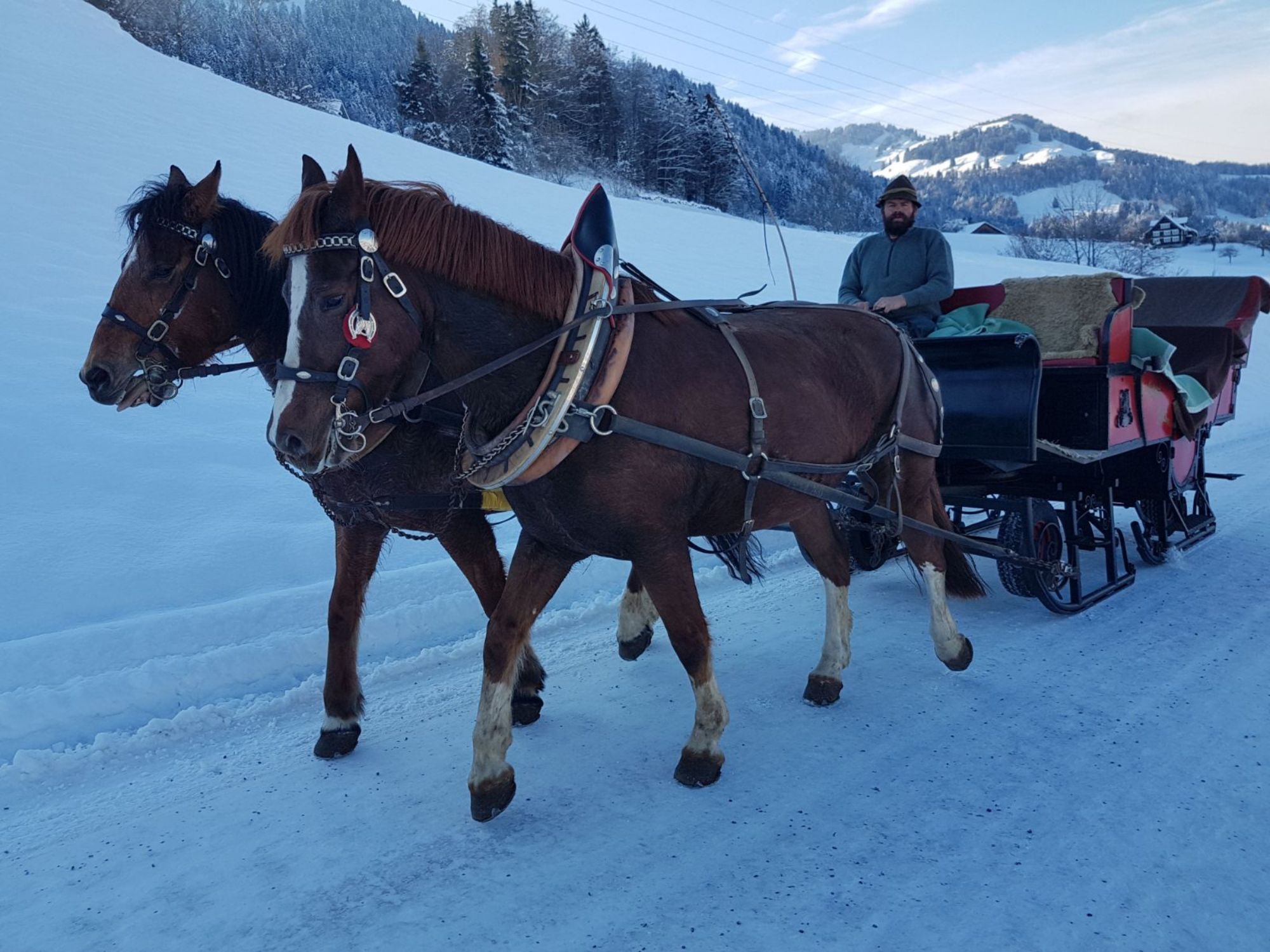 Promenades en calèche Rolf Faessler