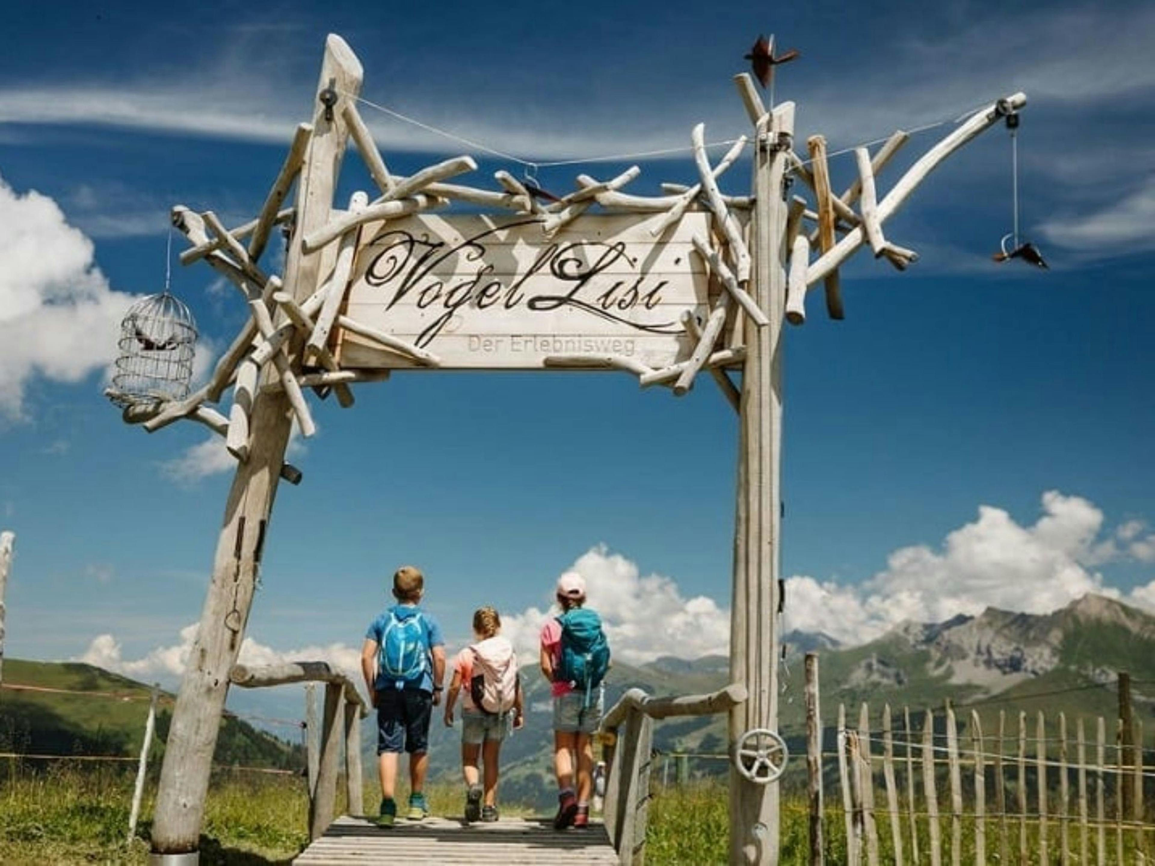 Ticket for the Birdsy Adventure Trail from Adelboden