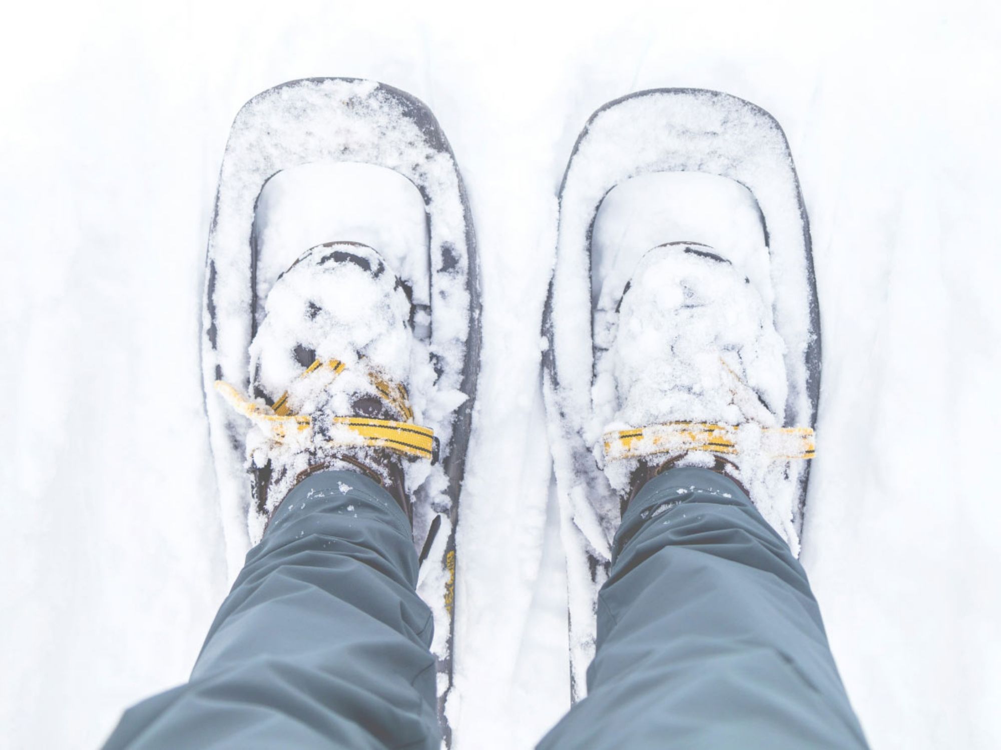 snowshoeing-champery-experience