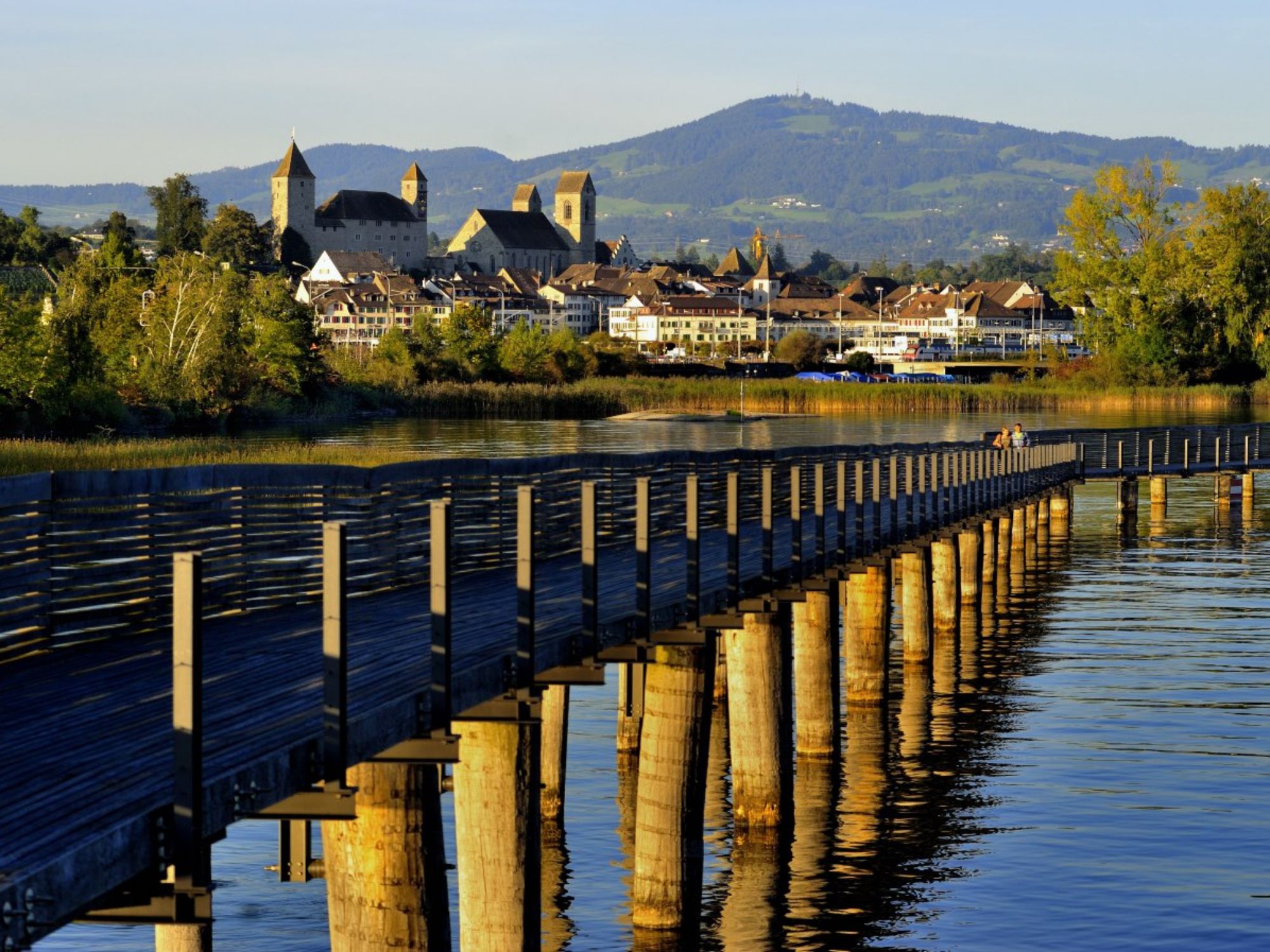 drewno_most_raperswil