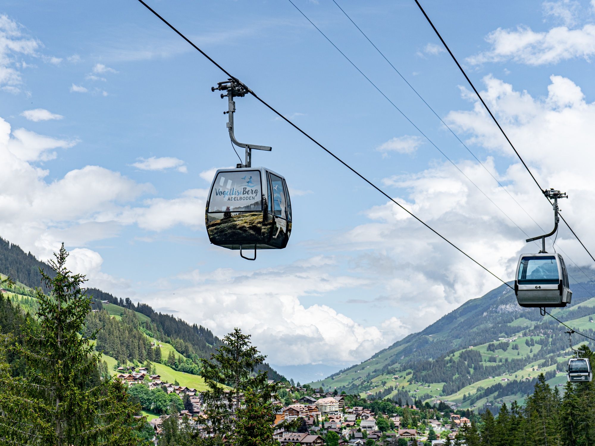 Vogellisiweg Adelboden (7)