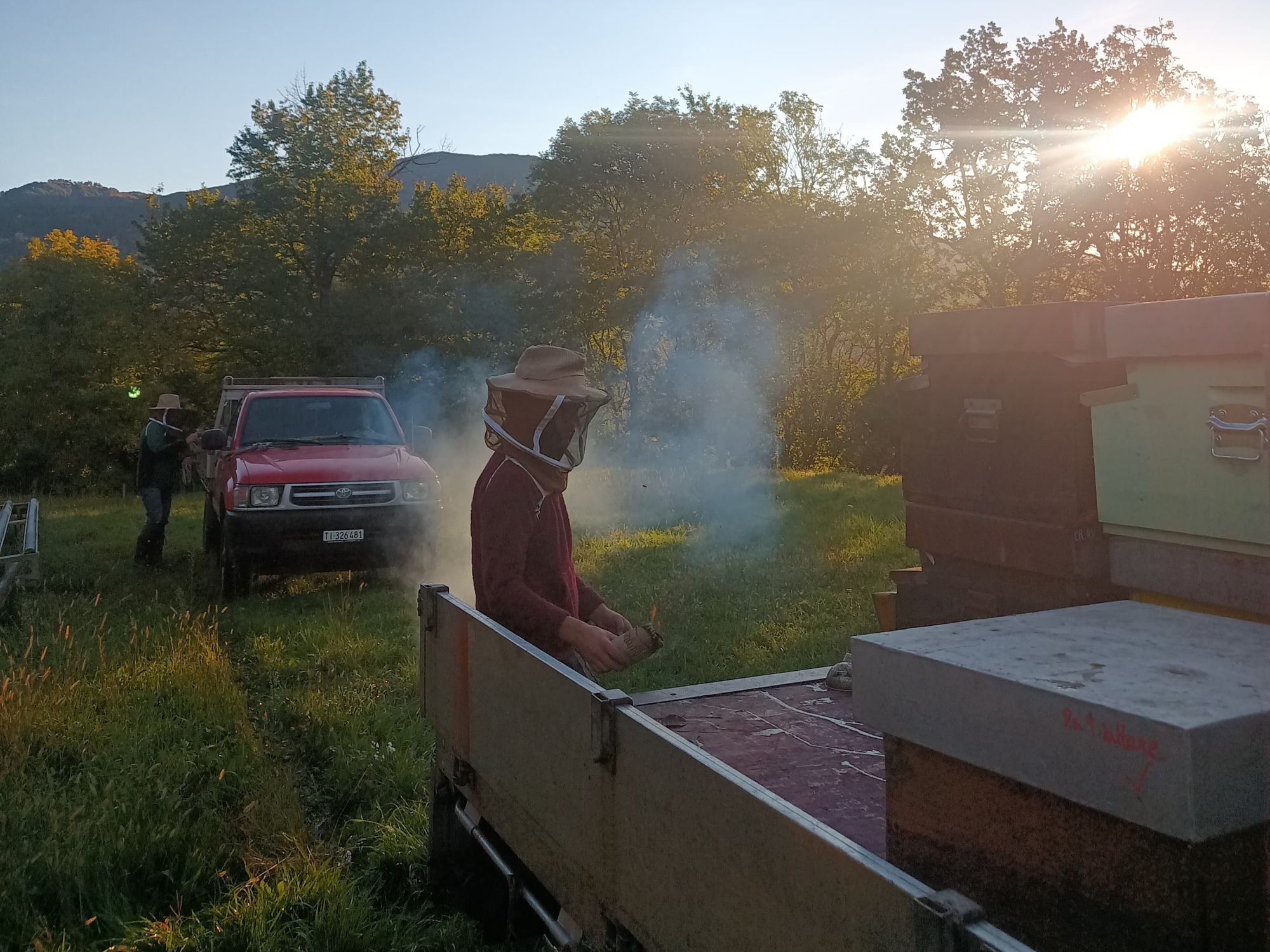 Zdjęcie WhatsApp 2024-10-15 o 11.44.29