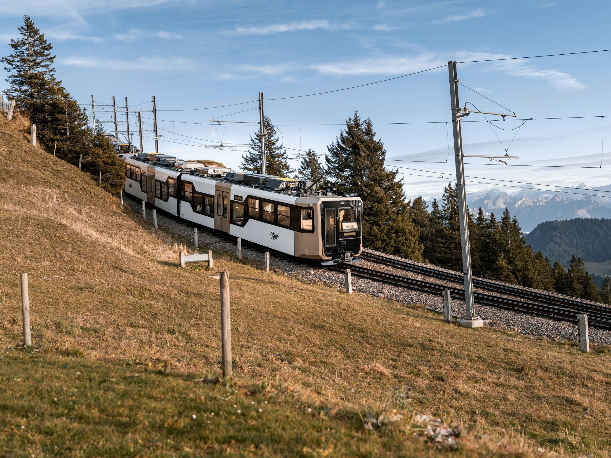 GTW Efterår © Michi Skud-27