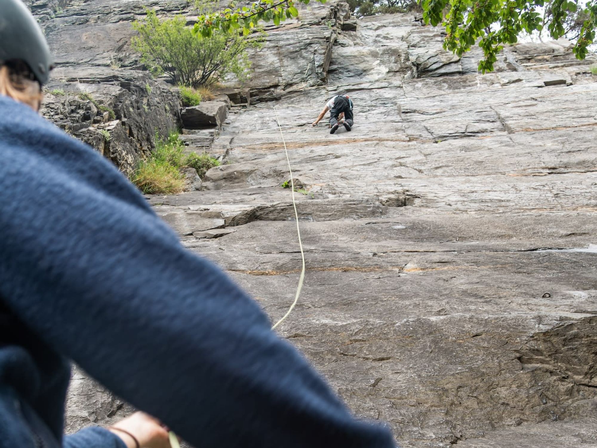 86438abaed543a7a1fcb21229c449c6a