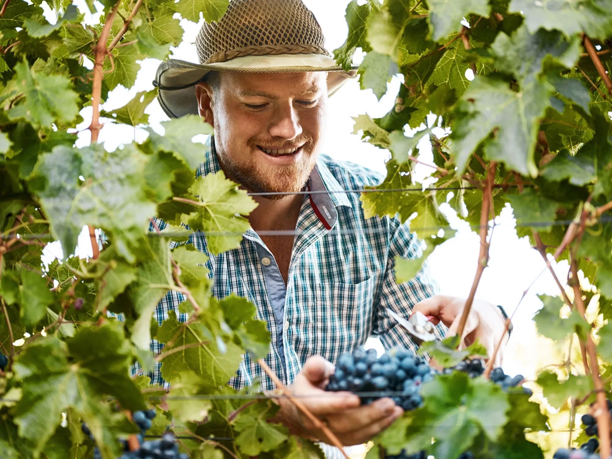 kopie-z-wine-cruises-2024-hero-09