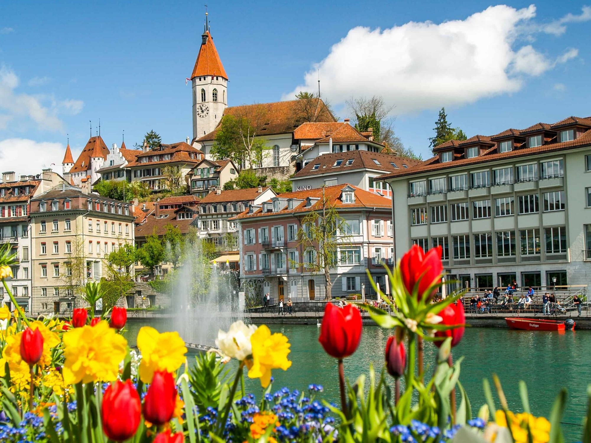 トゥーン – コピー