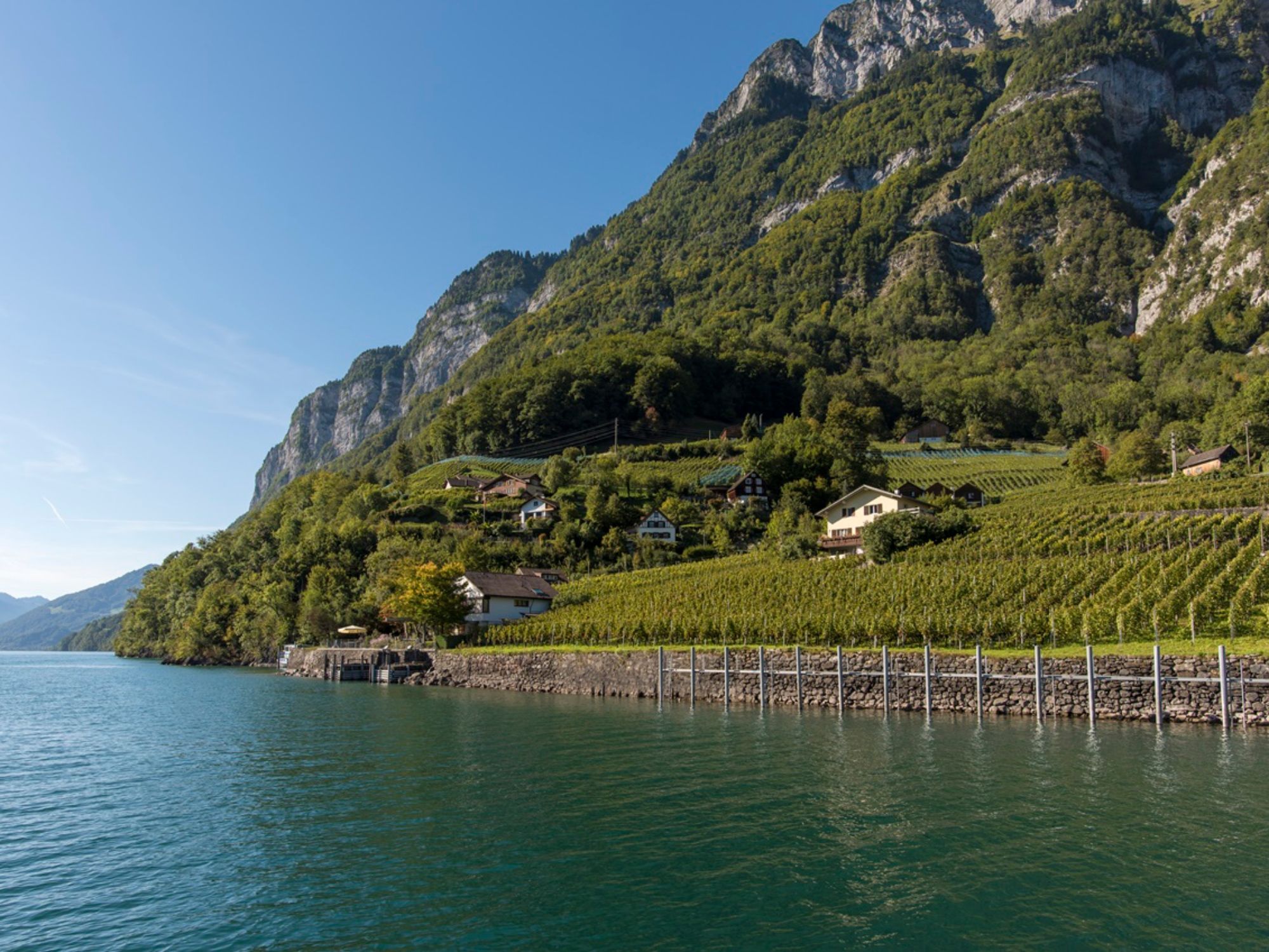 TDS00020011537859823