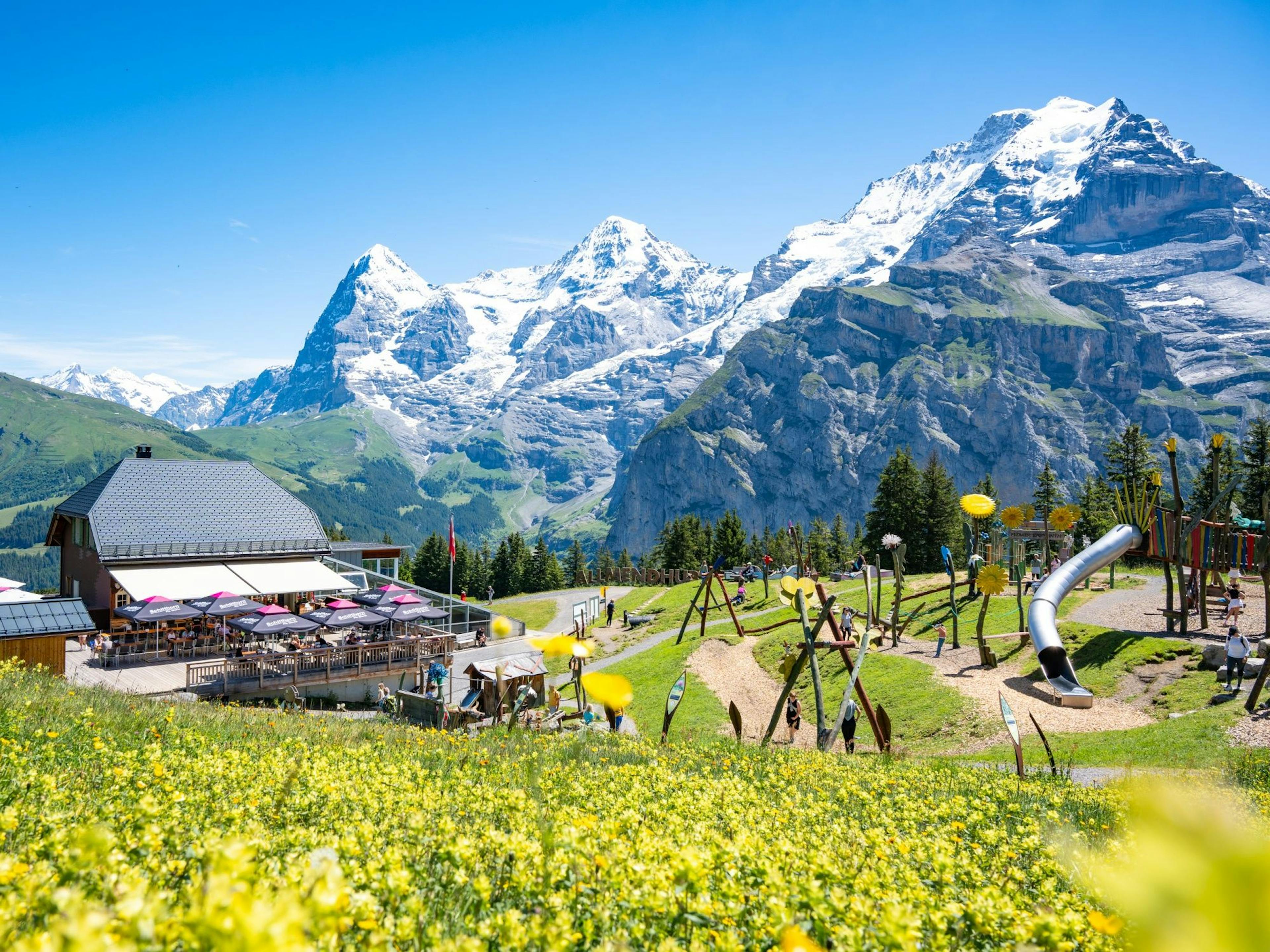 Allmendhubel Ticket ab Mürren oder Stechelberg