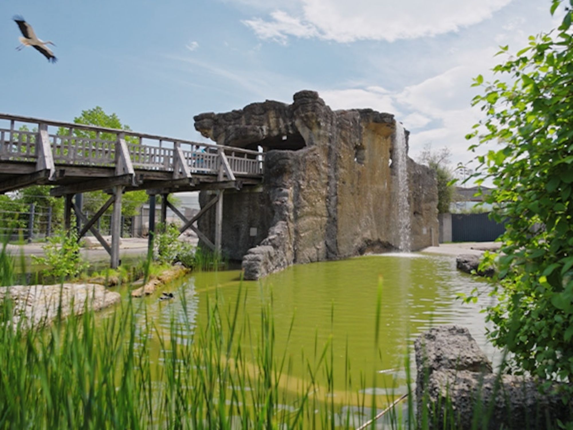 การบริหารจัดการวัน