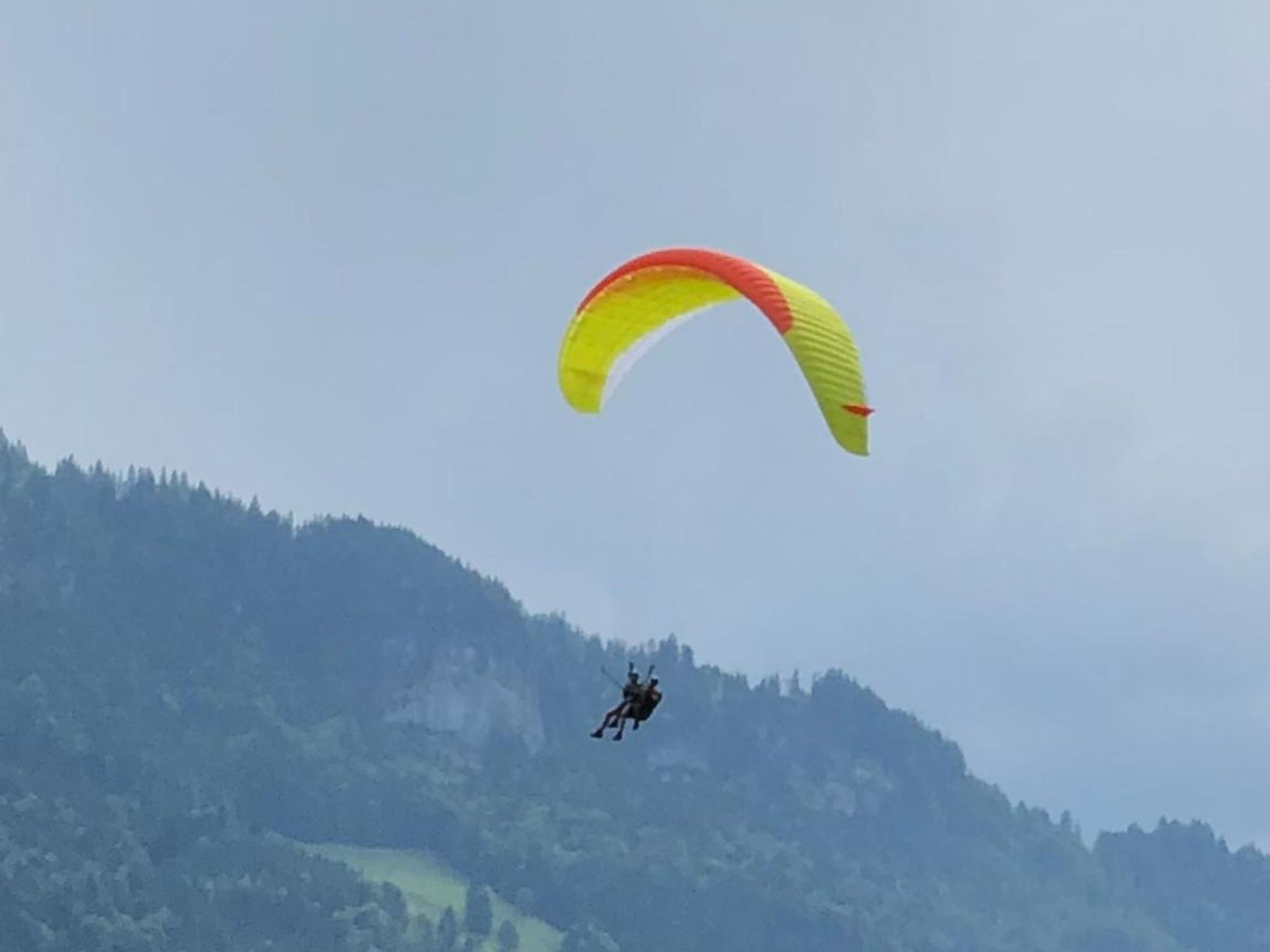 WhatsApp-bilde 2020-08-10 kl. 18.12.09