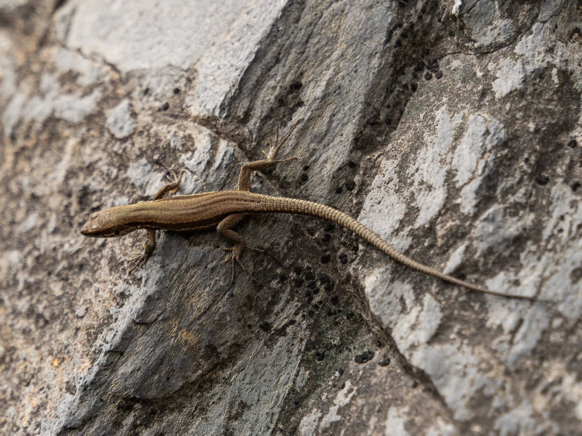 fa4894aed6086d93af14c953e984cc35