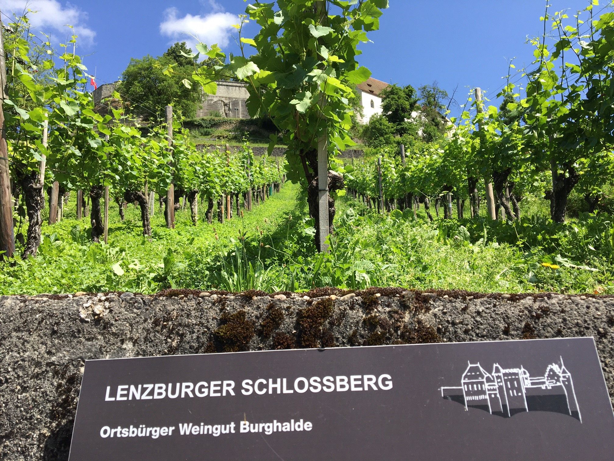 "ابحث عن الكود: الجراد المضيء" لعبة هروب خارجية في لينتسبرغ