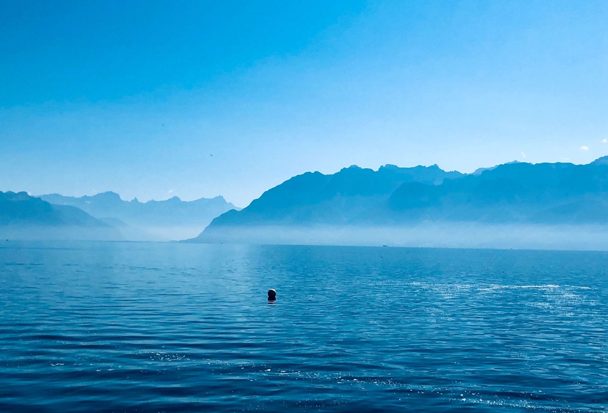 dac8e2_91526f94046b4b6697c4435aceb63c55~mv2