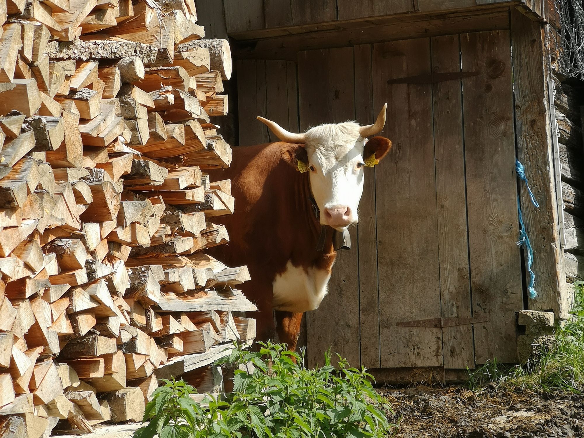 10 IMG_20250608_164105