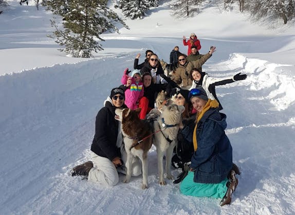 Familienabenteuer im Rhythmus der Schlittenhunde