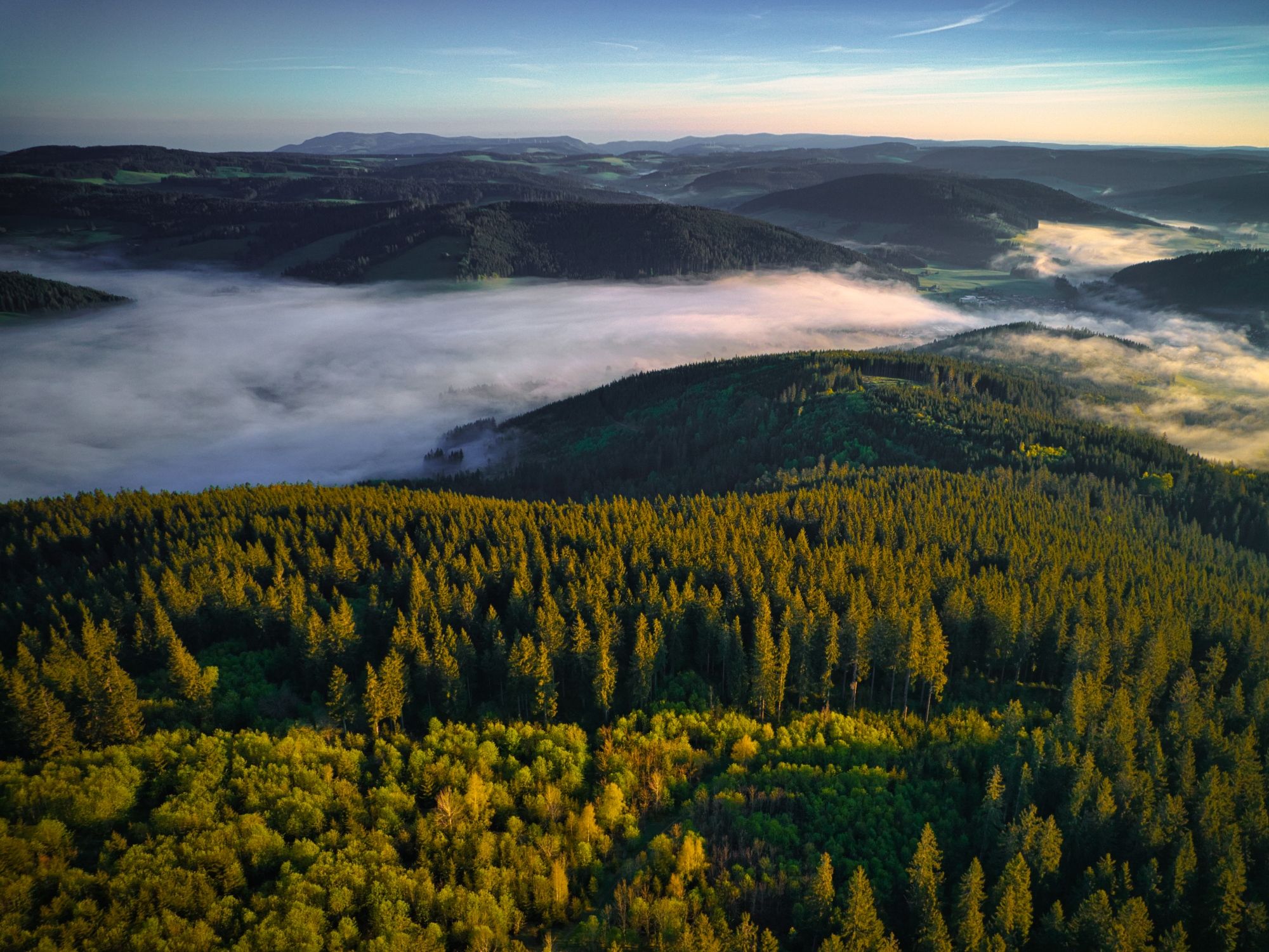 15_© Hochschwarzwald Tourismus Sàrl