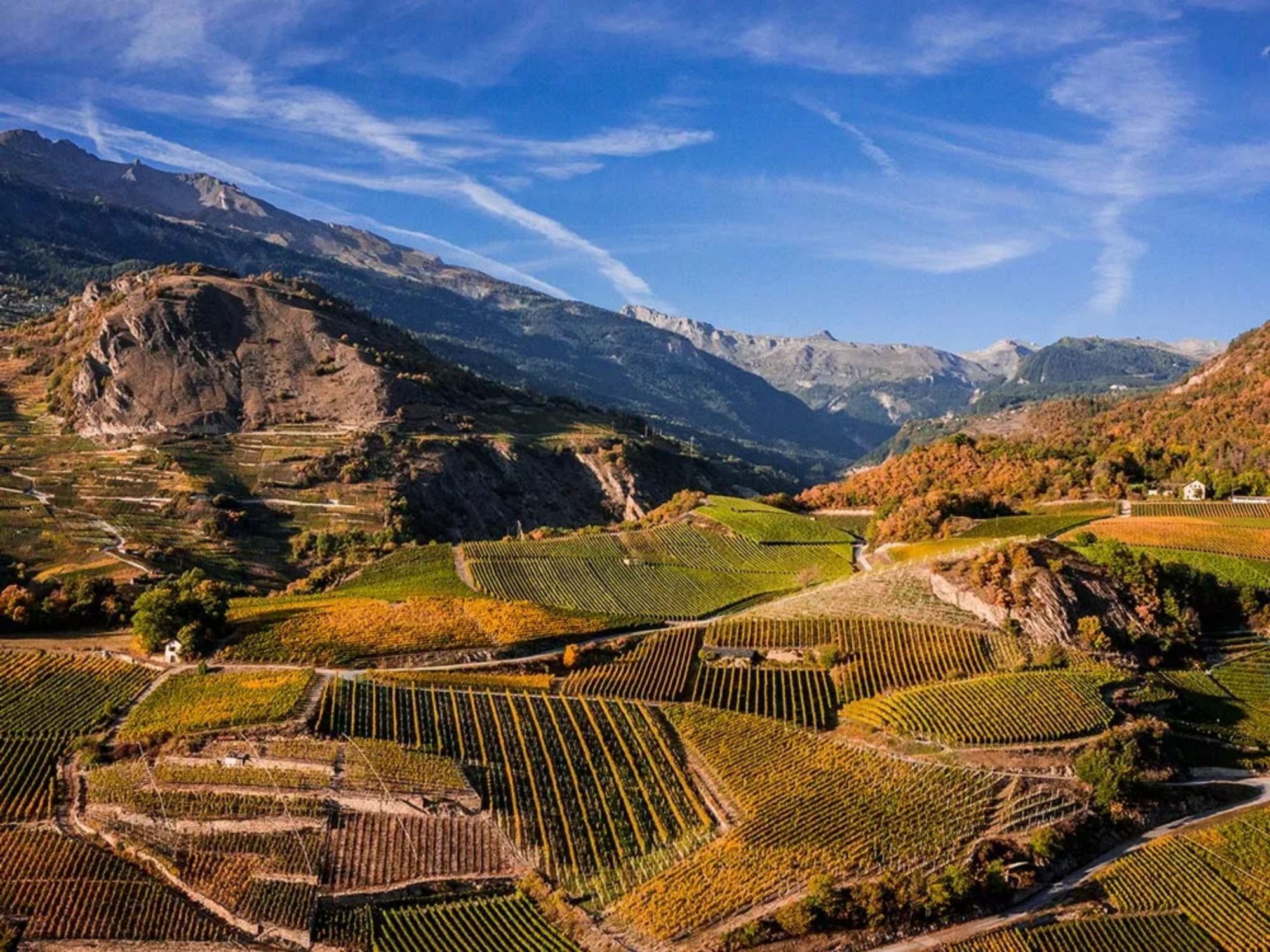 xoenoparc-valais-sion-tablet.jpg.pagespeed.ic.sCiFkanI9m-副本